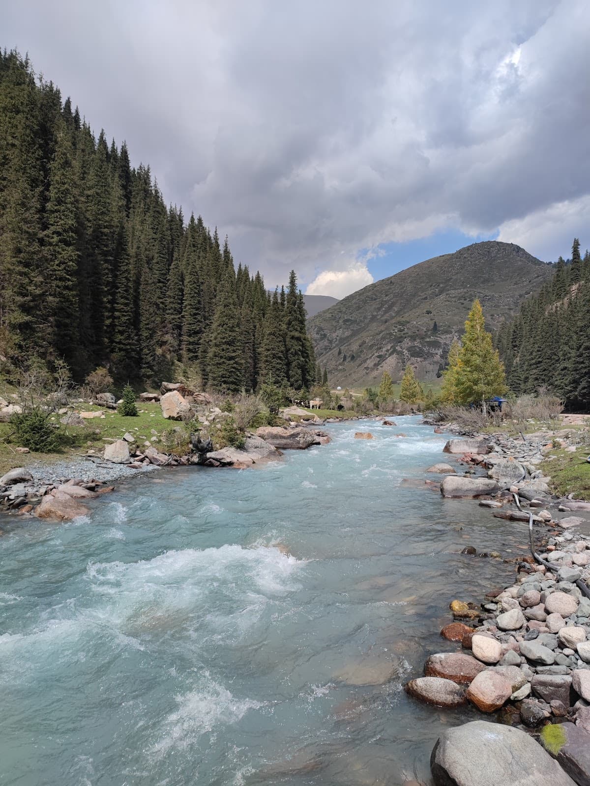 Grigorievka Gorge Issyk Kul - Image 1