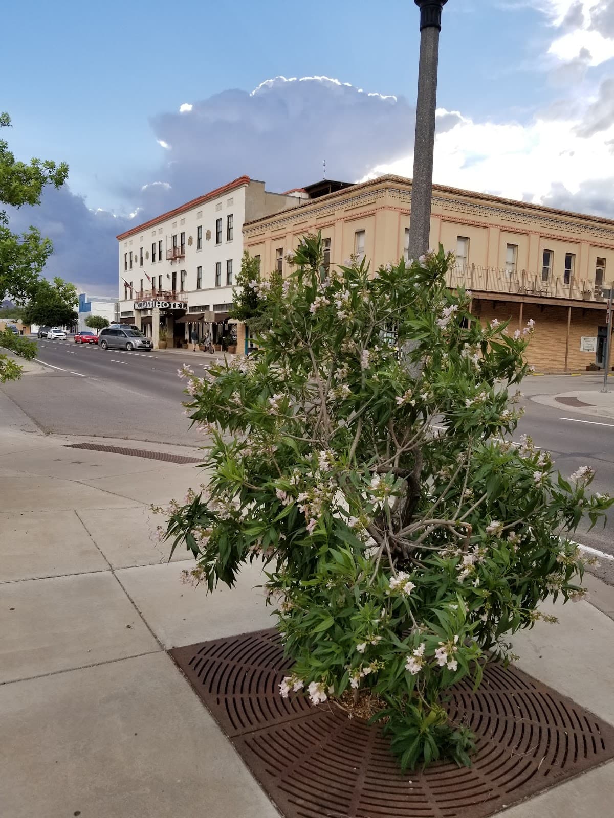 Downtown Alpine - Image 1