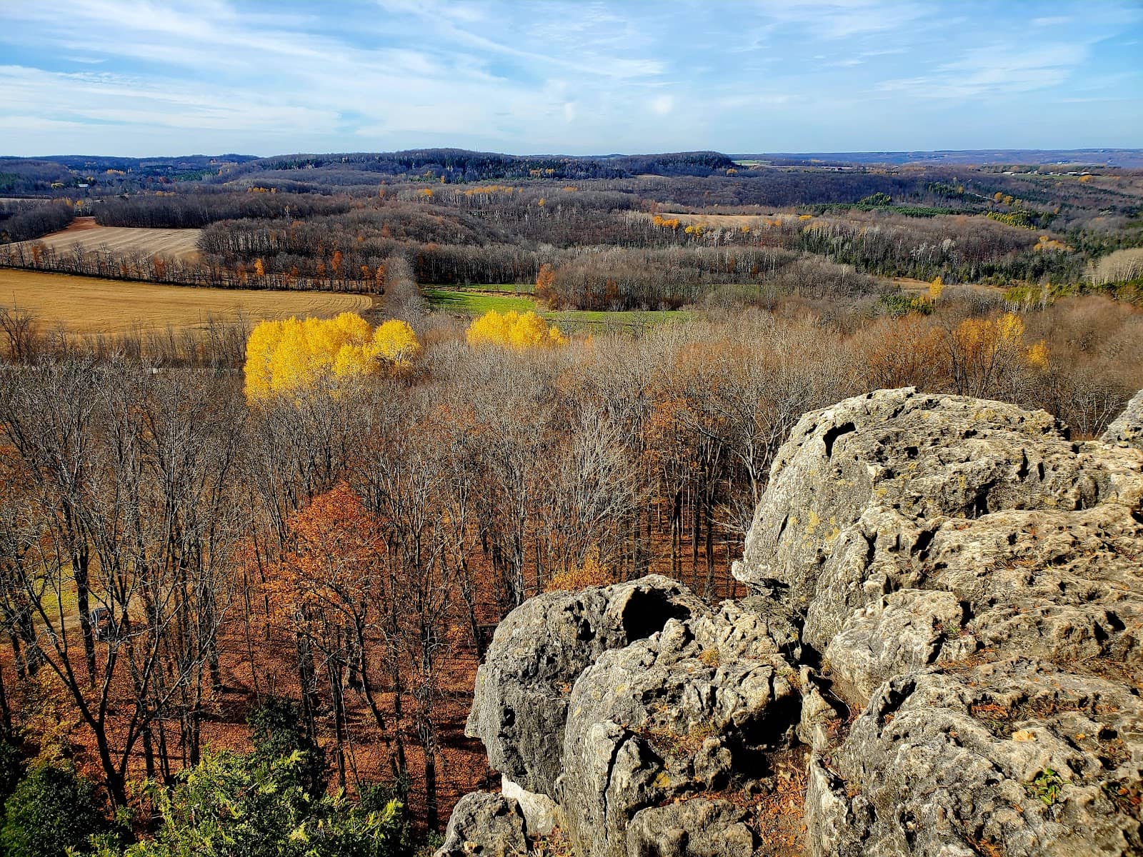 Panoramic Views