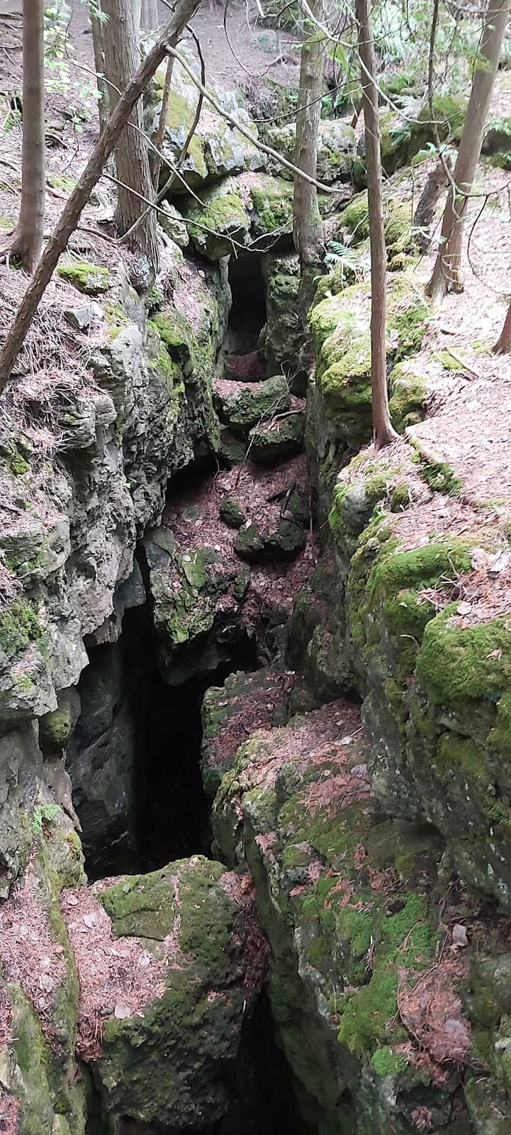 Vertical photo