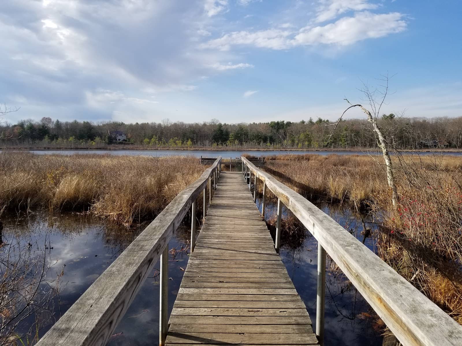 Vertical photo