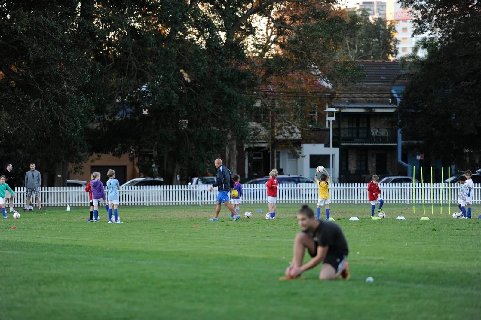 Alexandria Park - Image 1