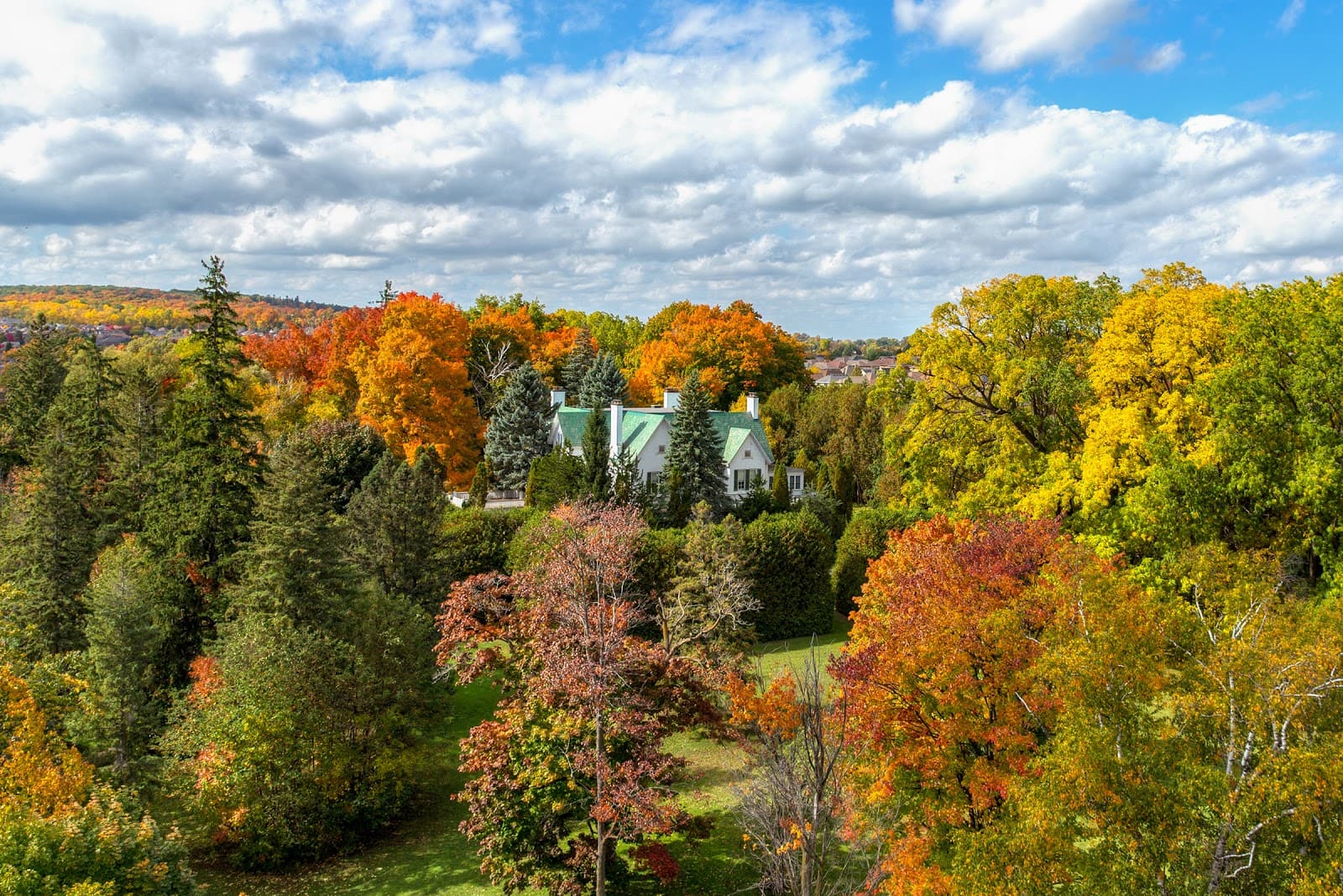 Mulock Park (Mulock Property) - Image 1