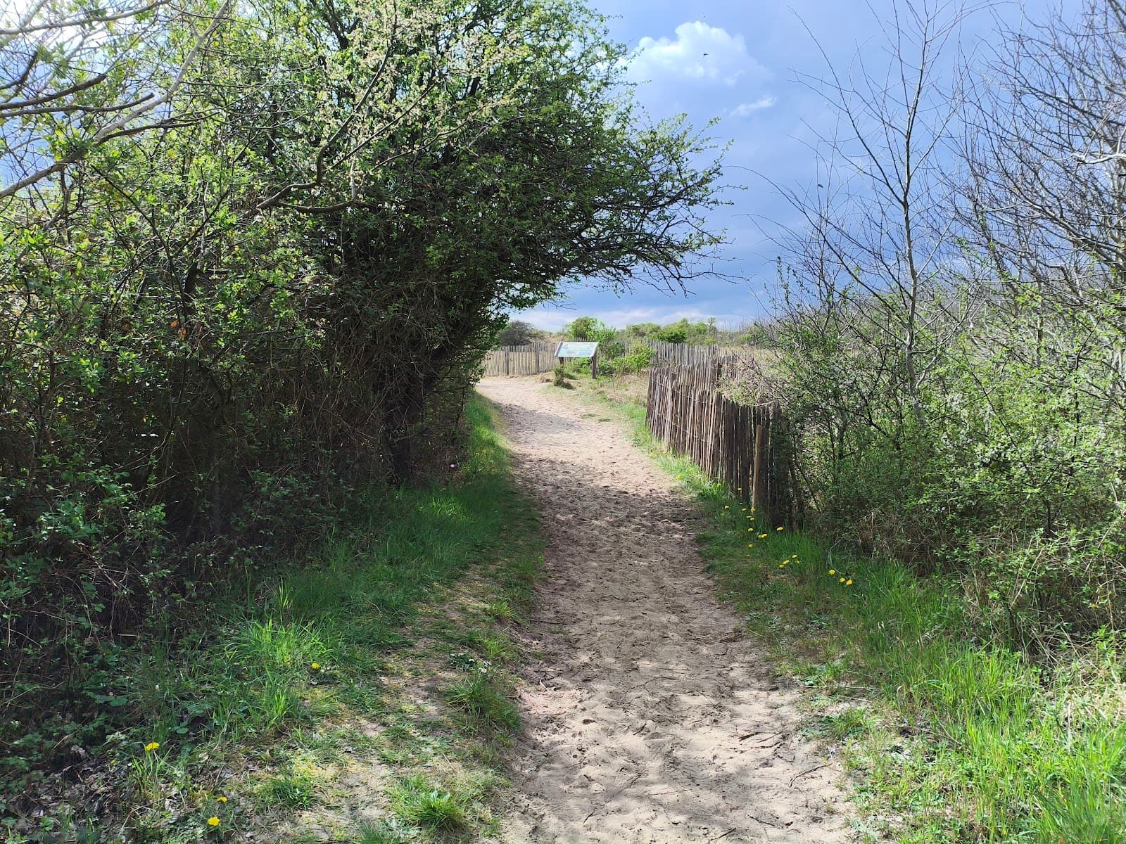 Berck–Authie Dunes - Image 1