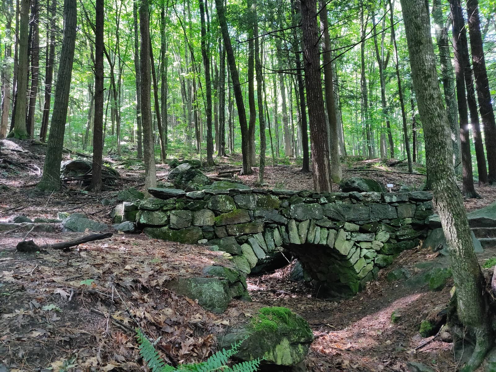 Woodstock Town & Carriage House Views