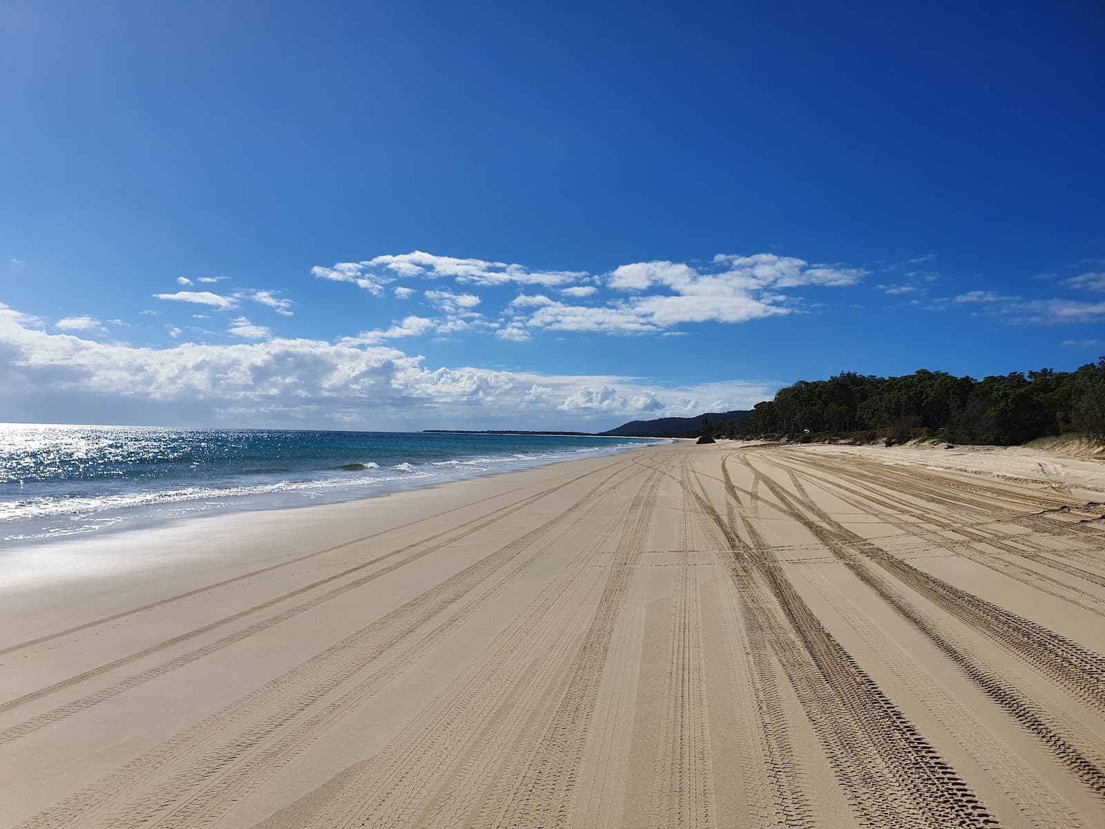Moreton Island Mulgumpin - Image 1