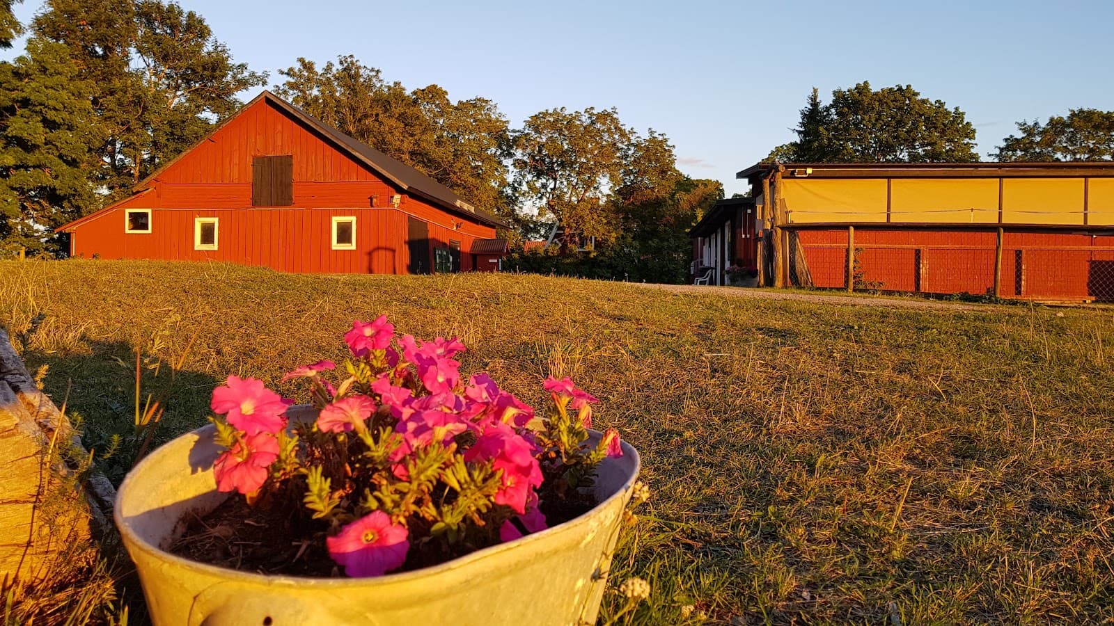 Årsta 4H Farm - Image 1