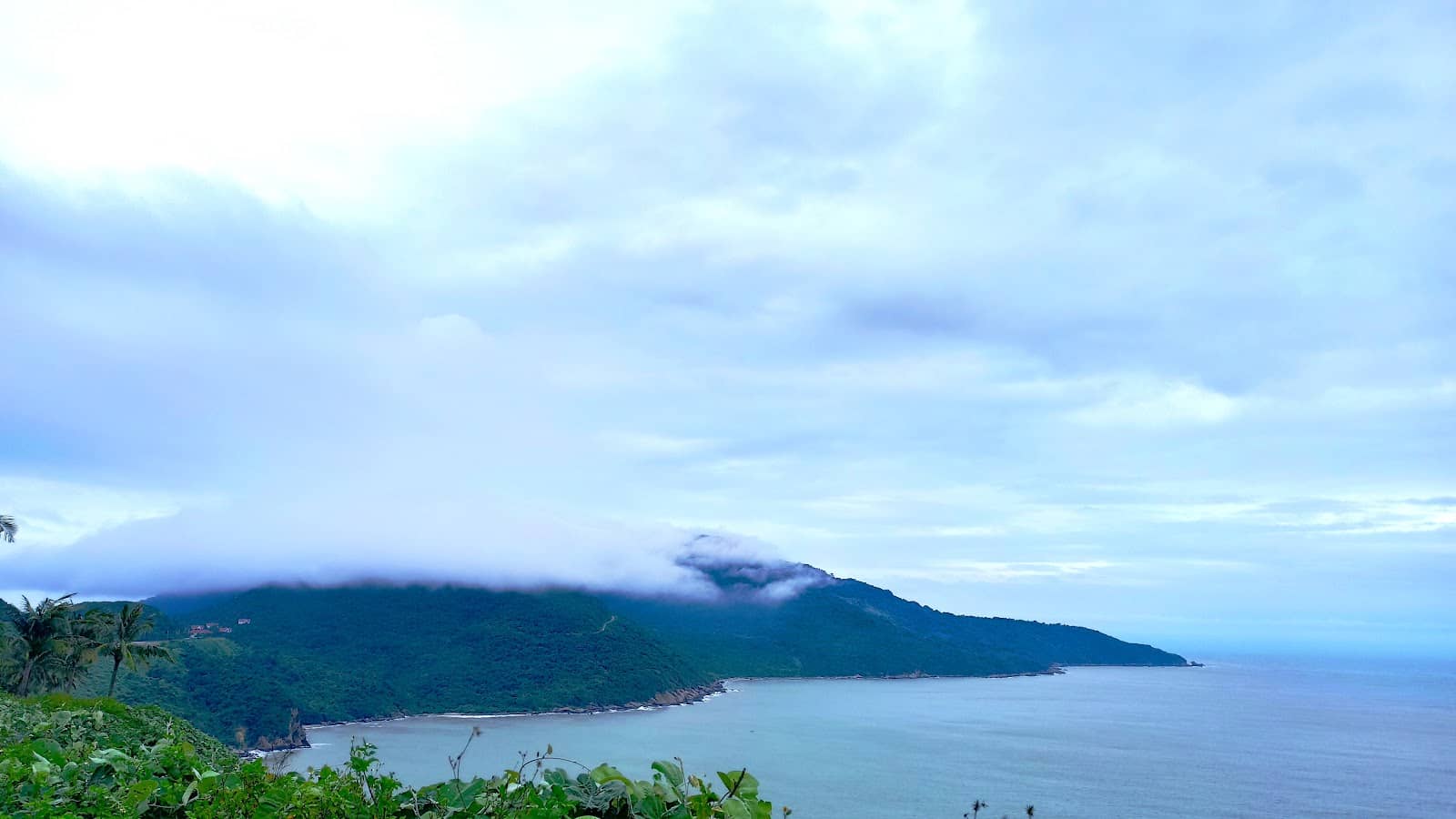 Vertical photo