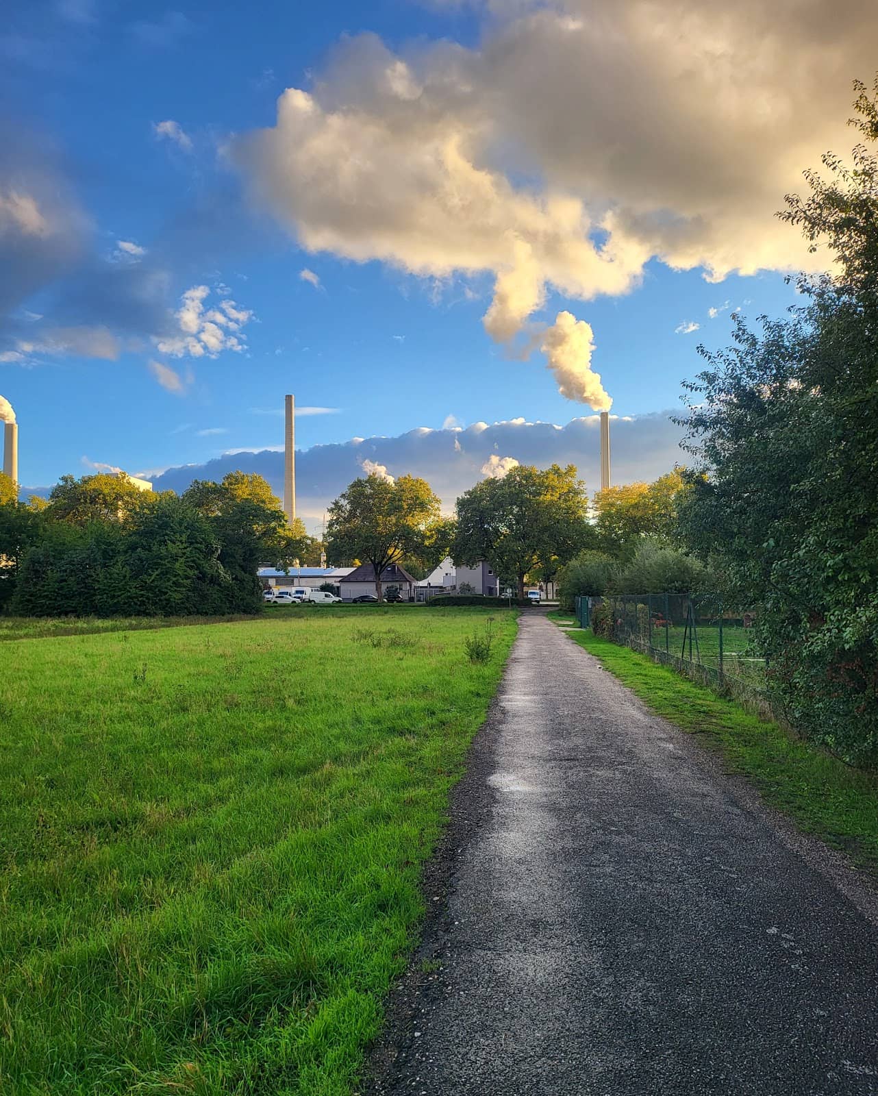 McDonald's Mannheim-Neckarau