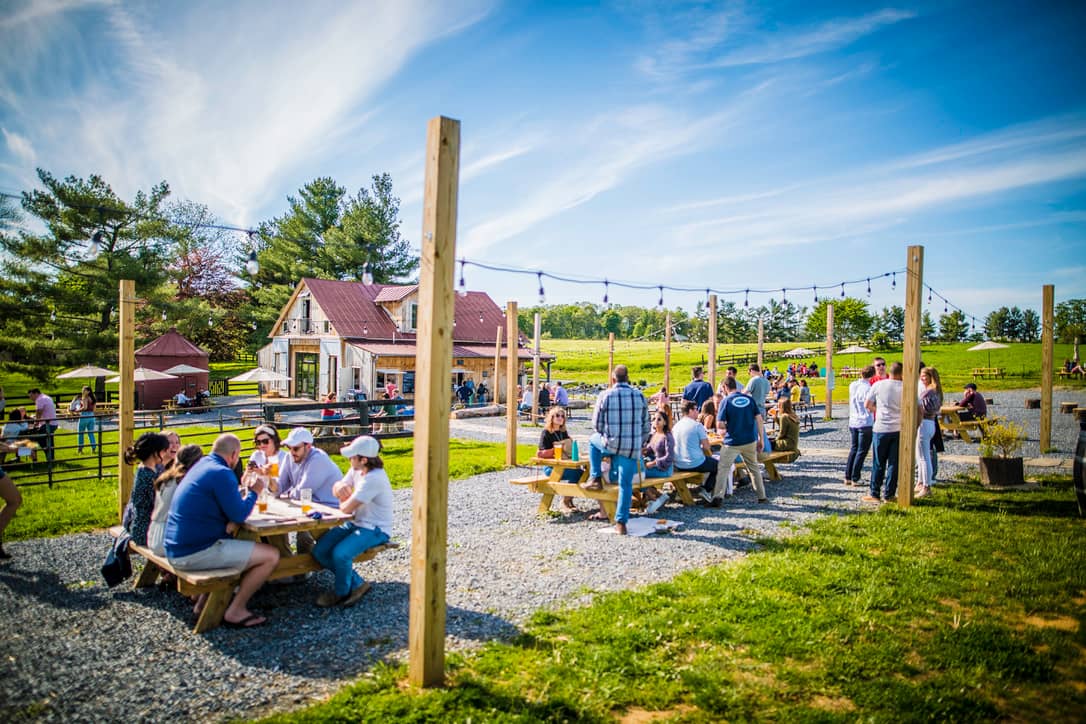 Farmers Market & Food Trucks