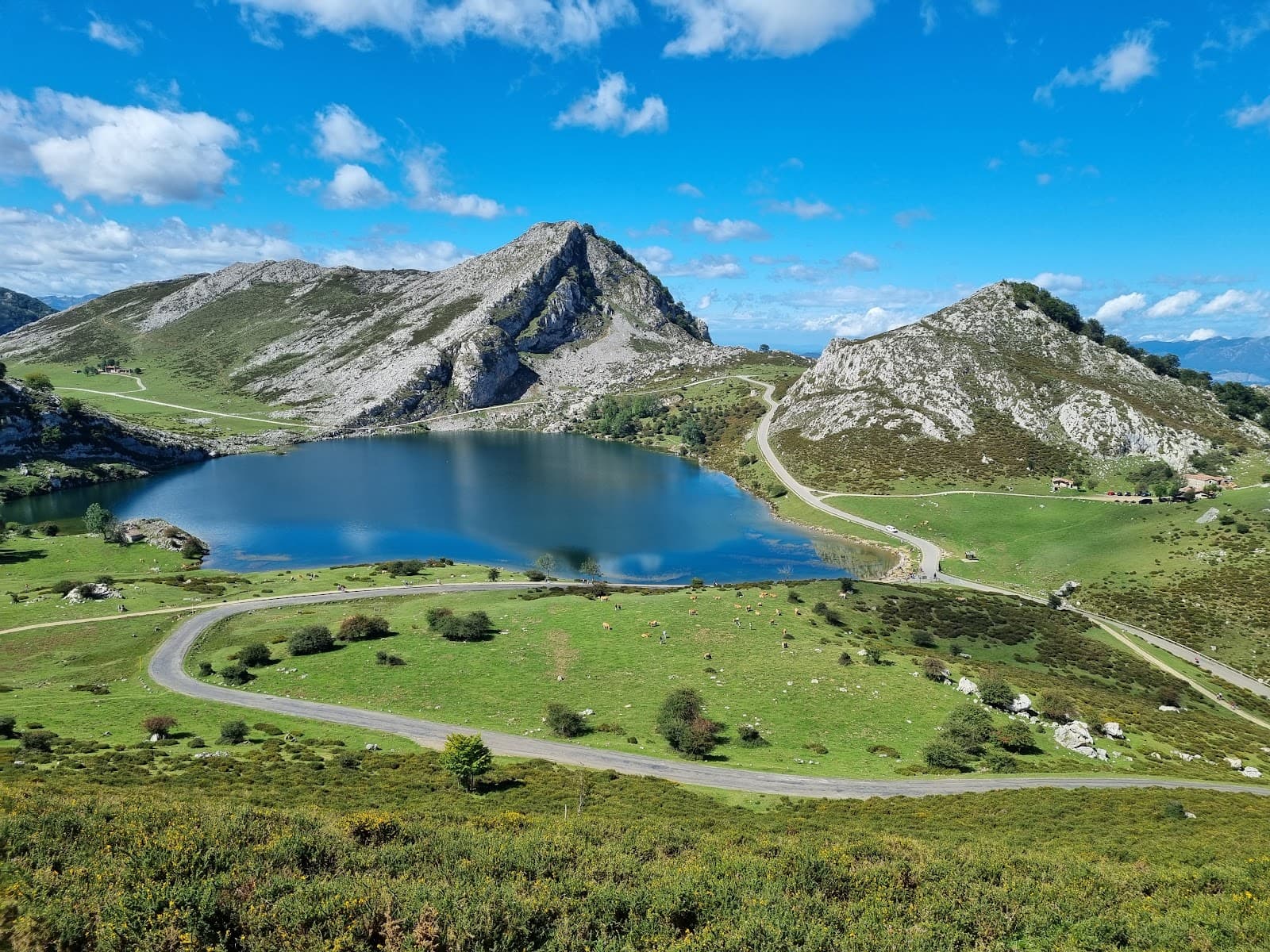 Picos de Europa National Park - Image 1