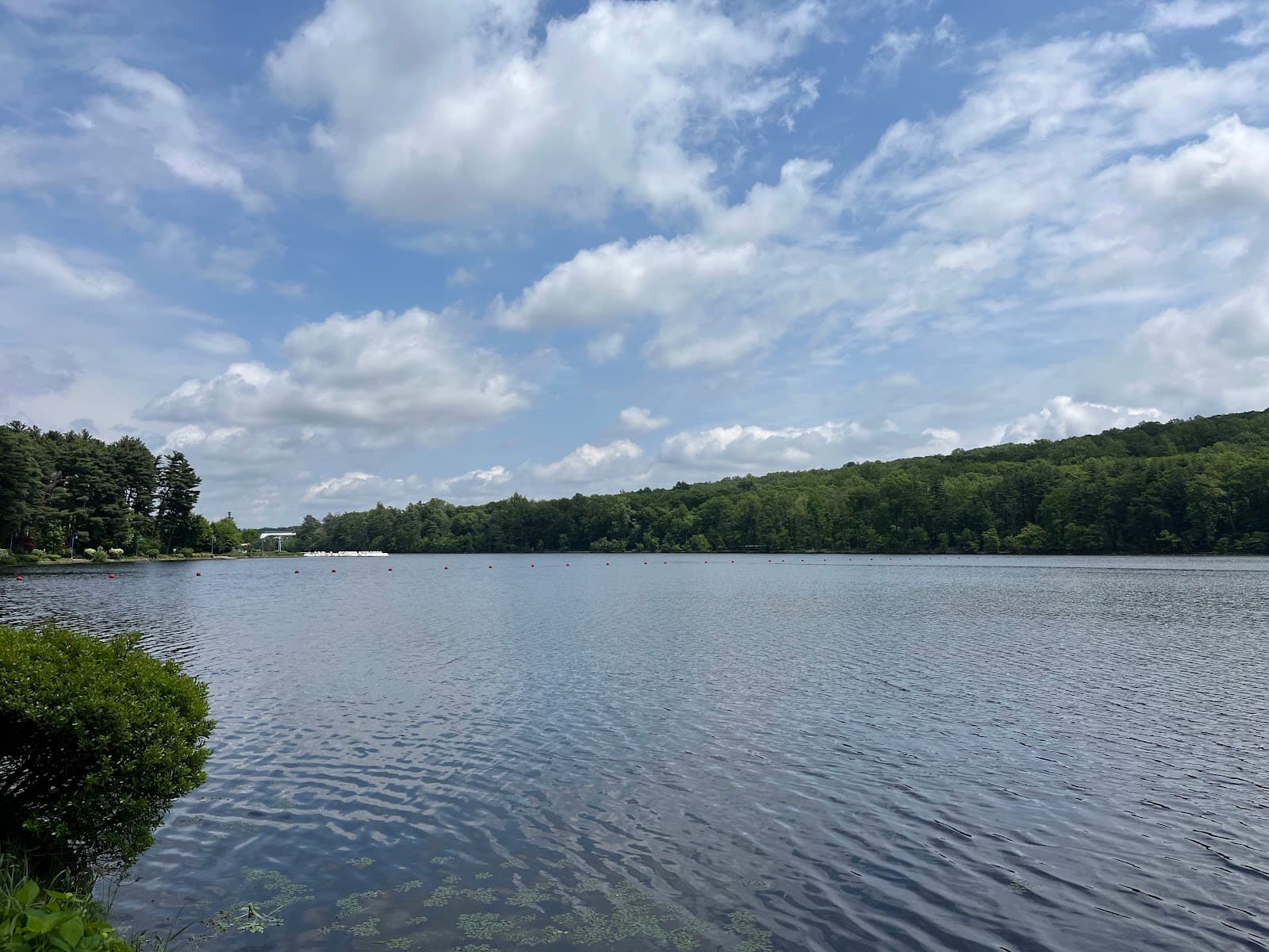 Orange Reservoir - Image 1