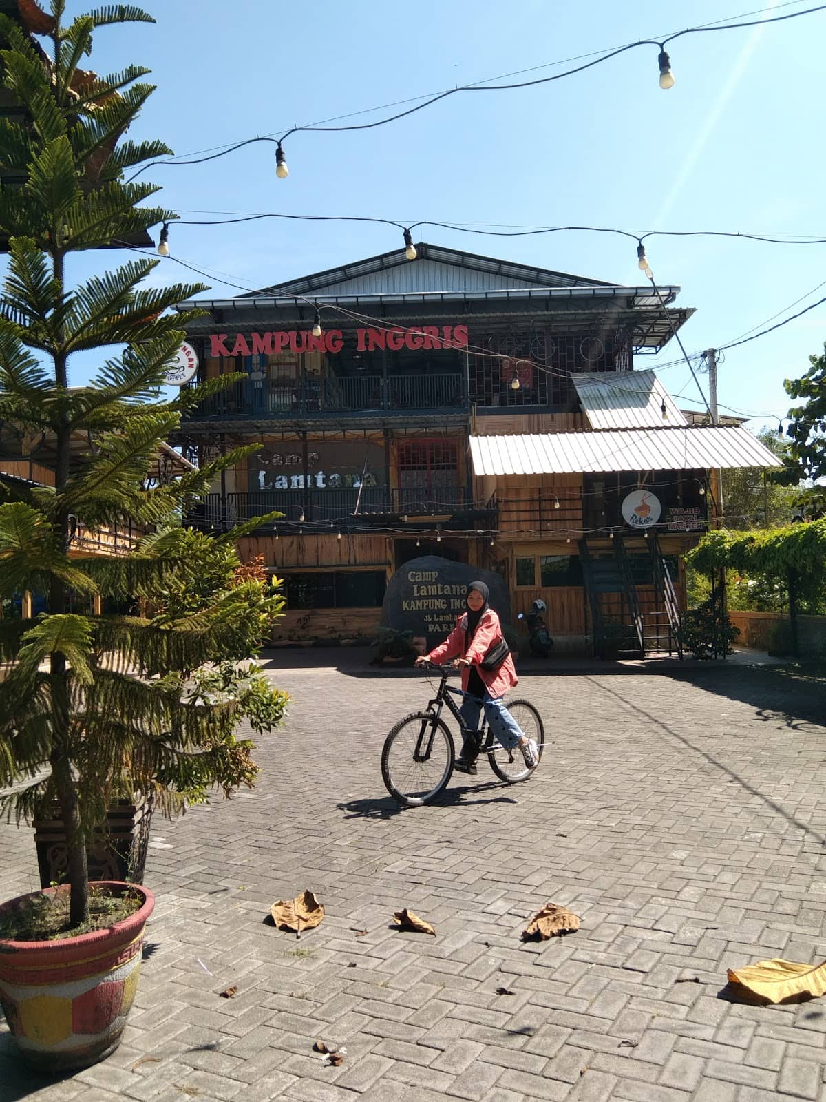 Local Culinary Delights