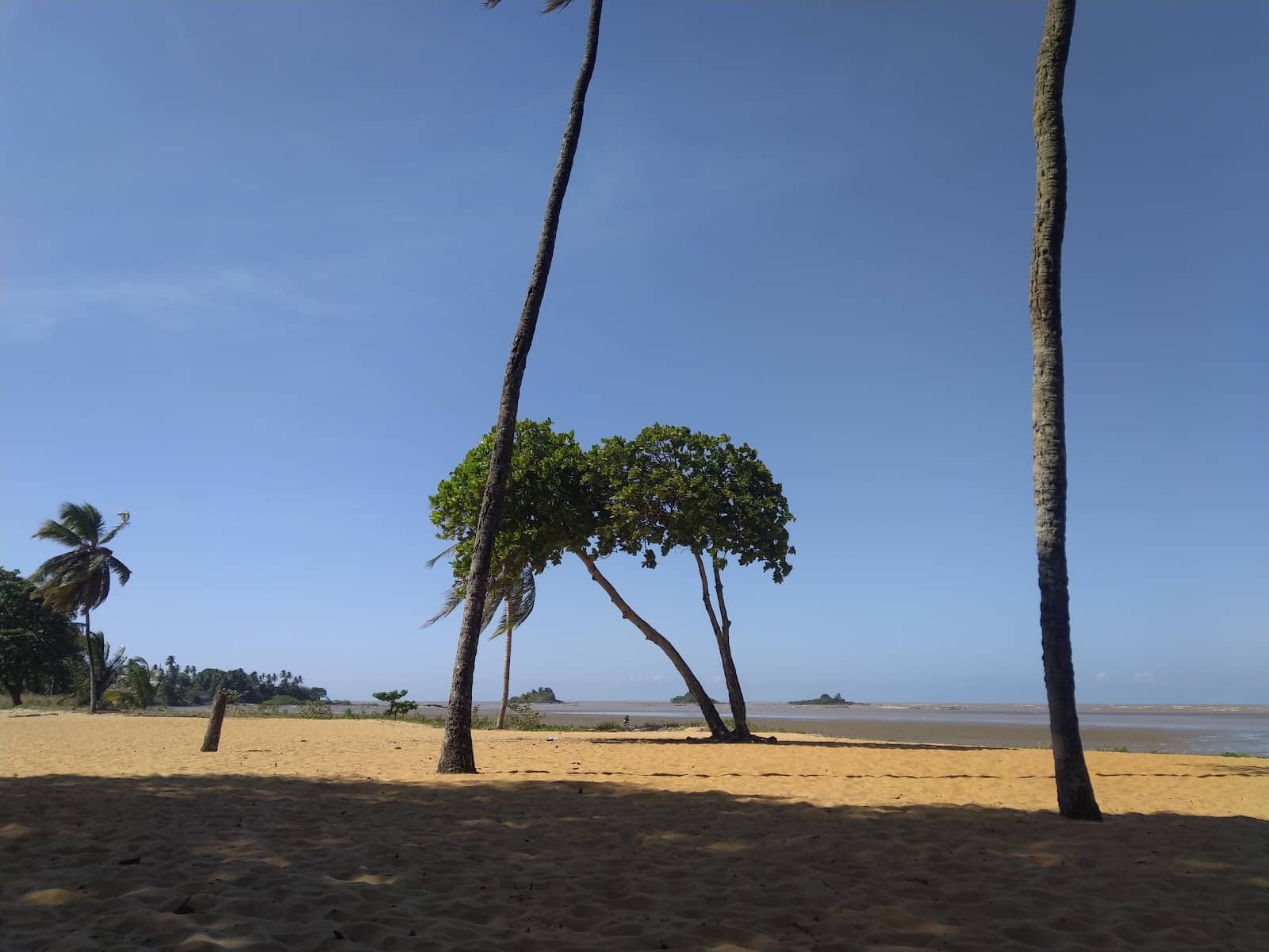 Tranquil Atmosphere