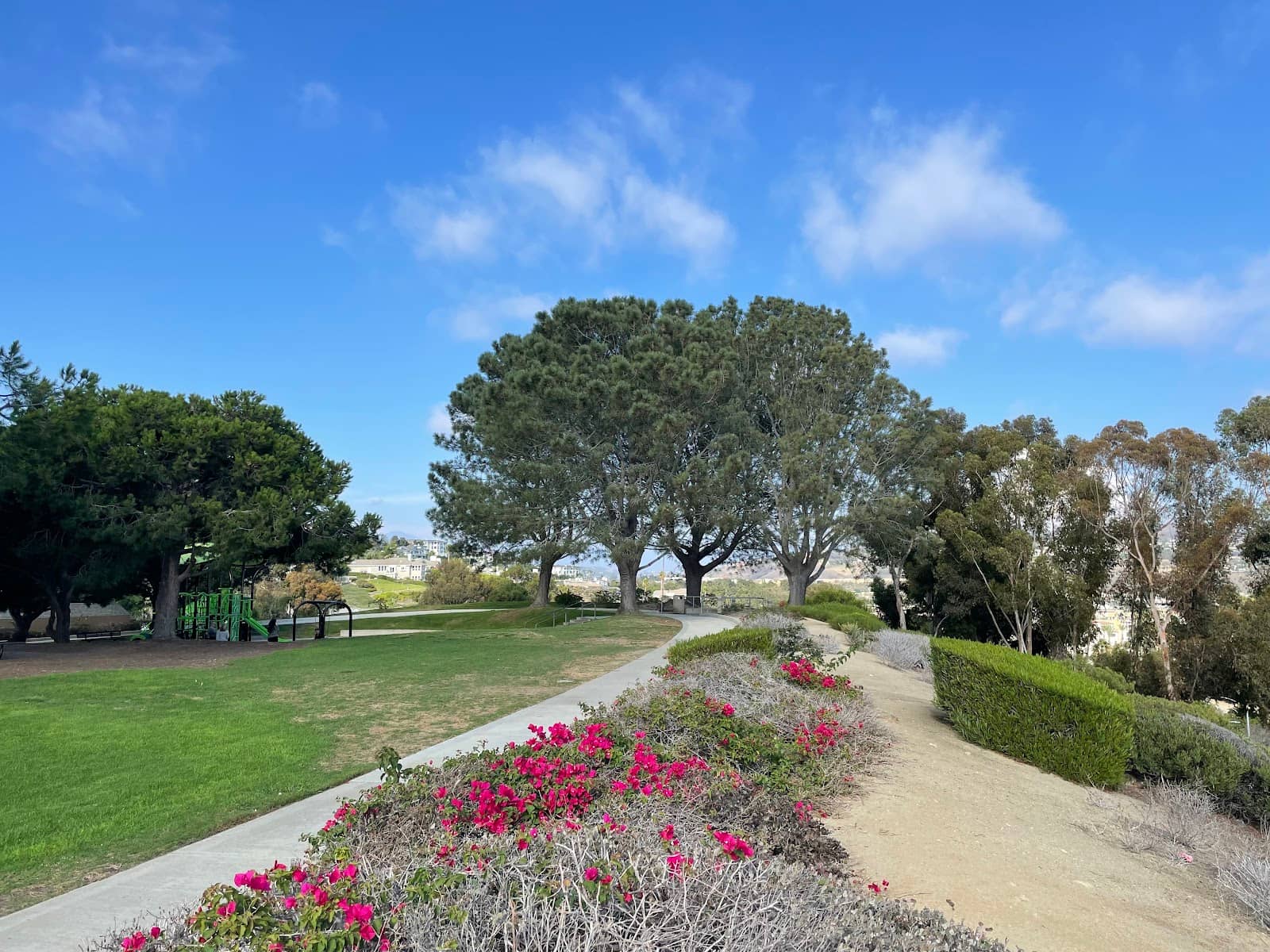 Playground & Grassy Fields