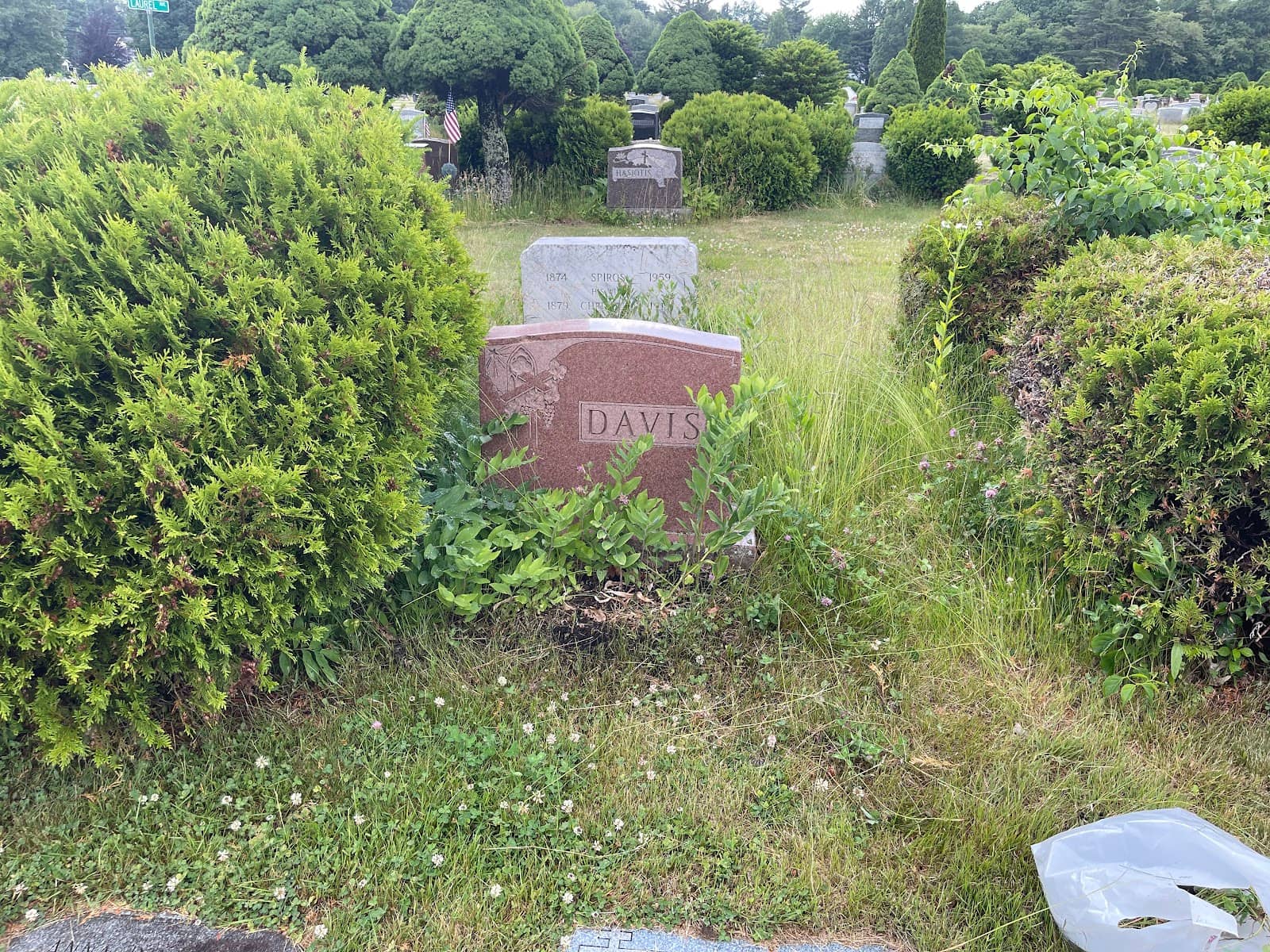 Family Plots