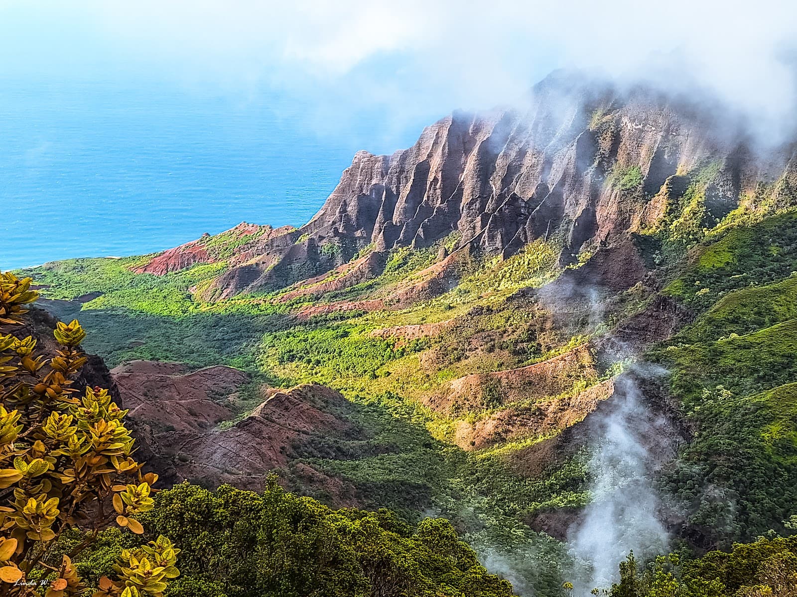 Pu'u o Kila Lookout - Image 1