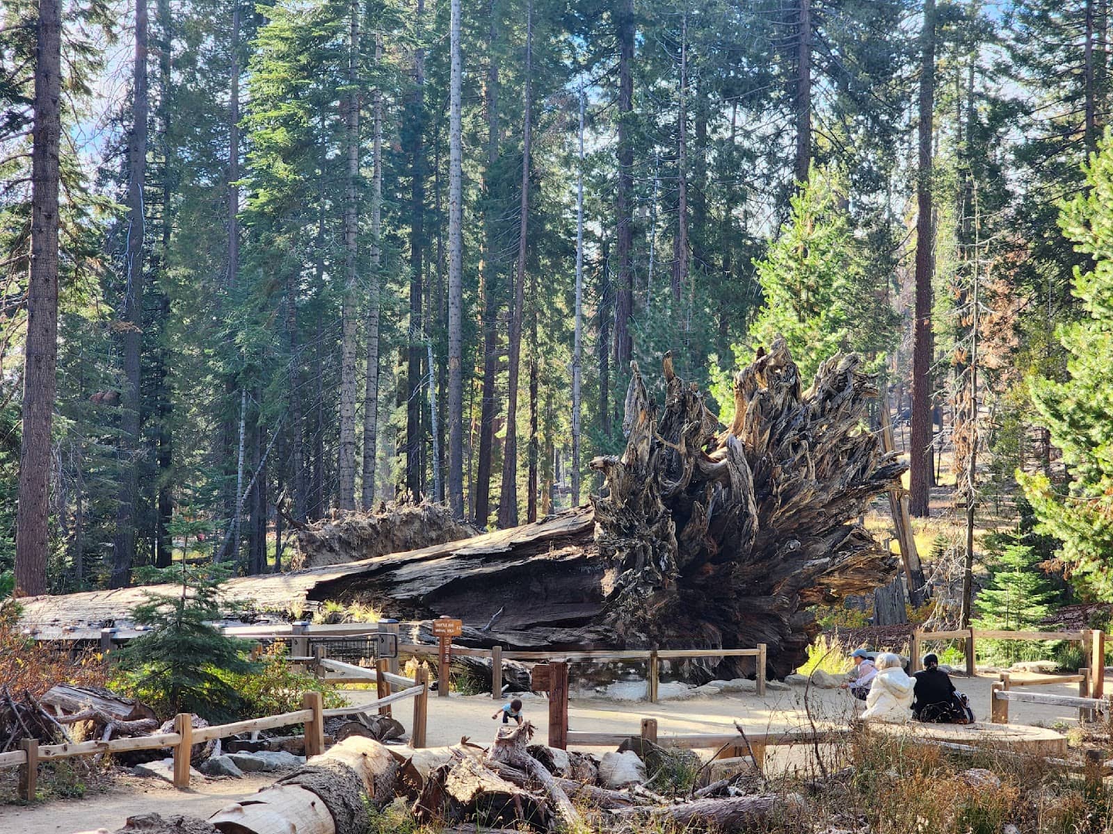 Historical Significance