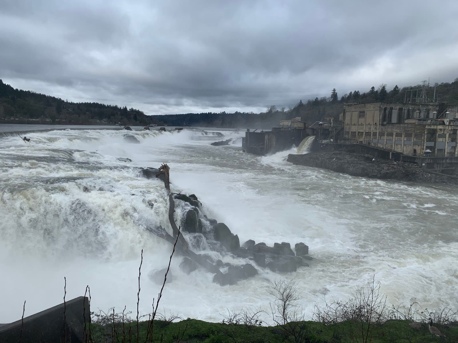 Willamette Falls Locks - Image 1