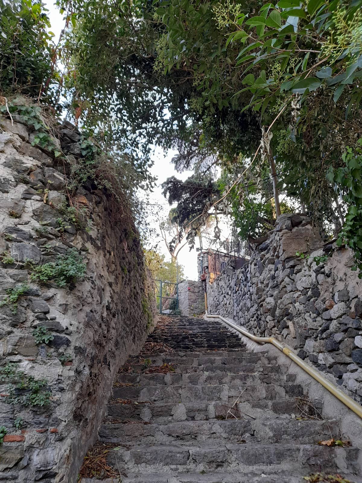 Vertical photo