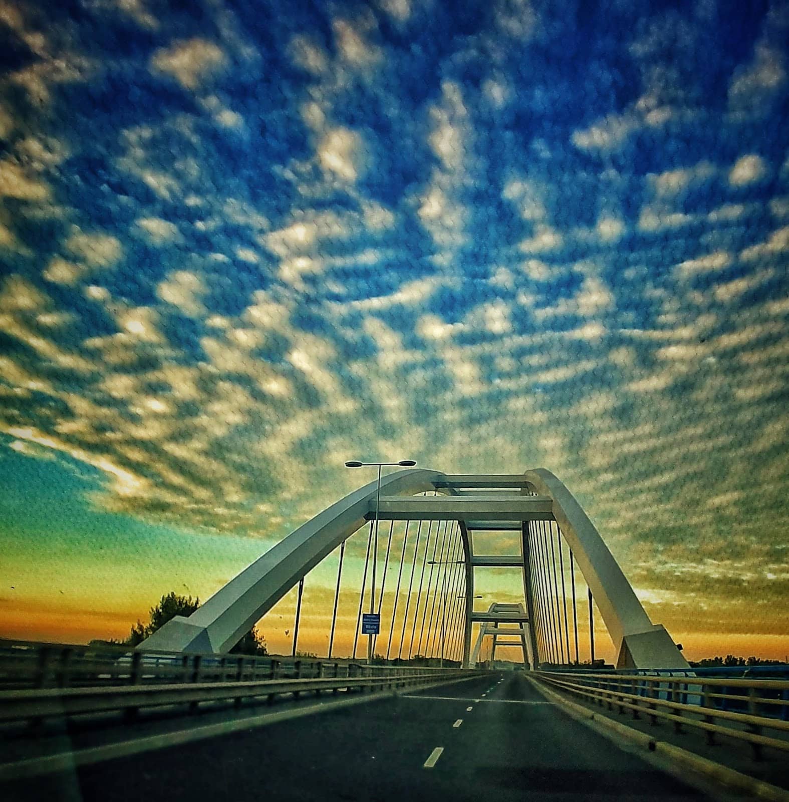 Vertical photo