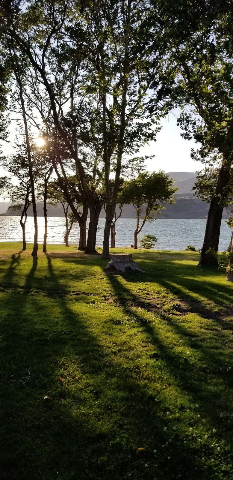 Celilo Park & Celilo Falls Historic Site - Image 1