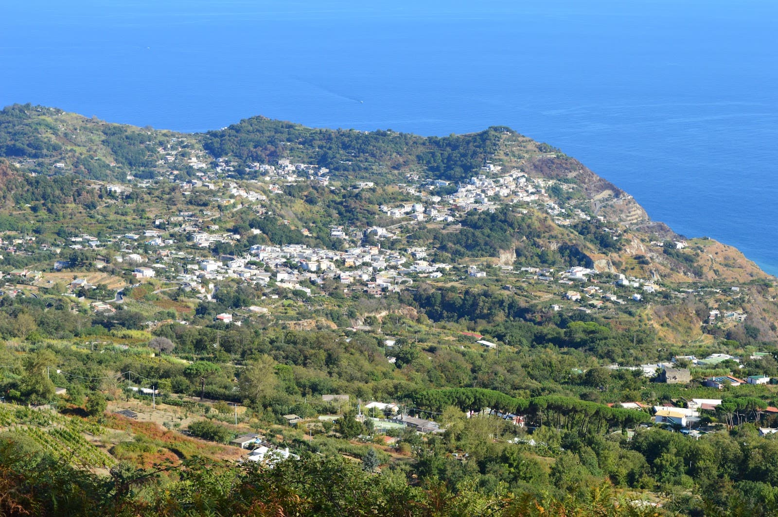Barano d'Ischia - Image 1
