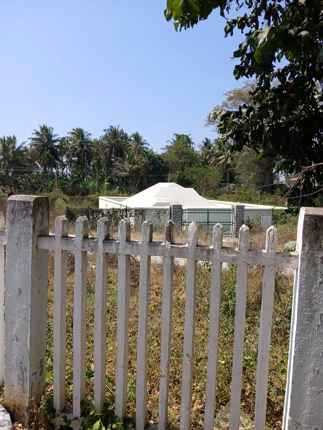 Tipu Sultan's Mechanical Tiger