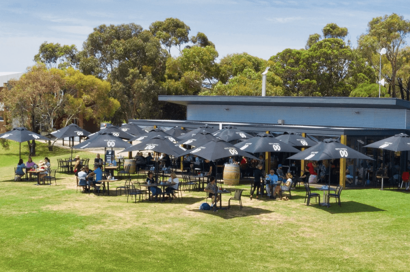 Jack Rabbit Vineyard - Image 1