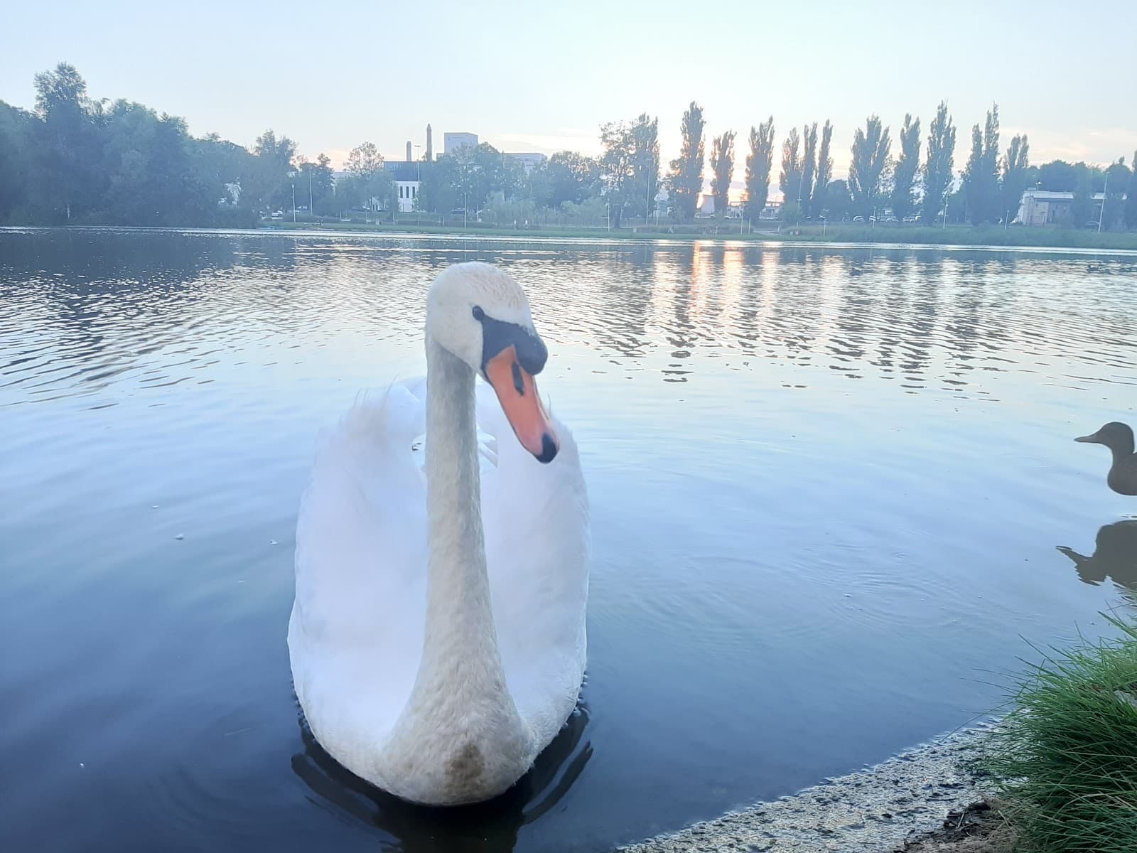 Rzeszow Reservoir (Zalew na Wisloku) - Image 1