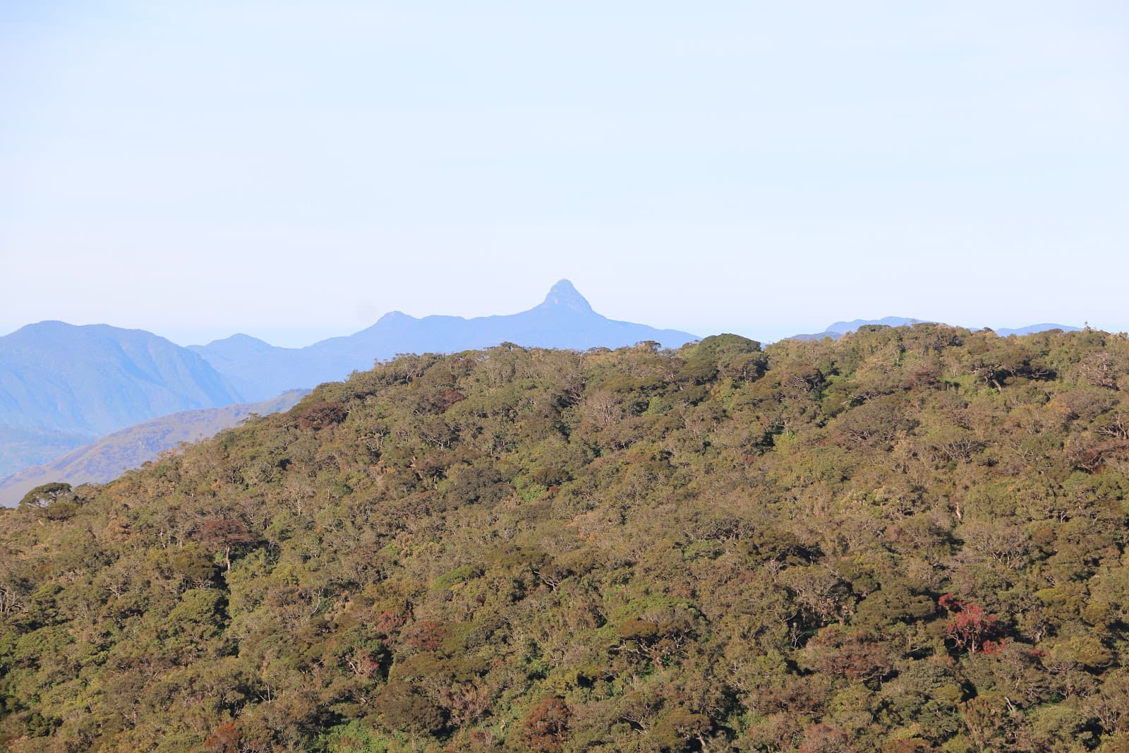 Thotupola Kanda Horton Plains - Image 1
