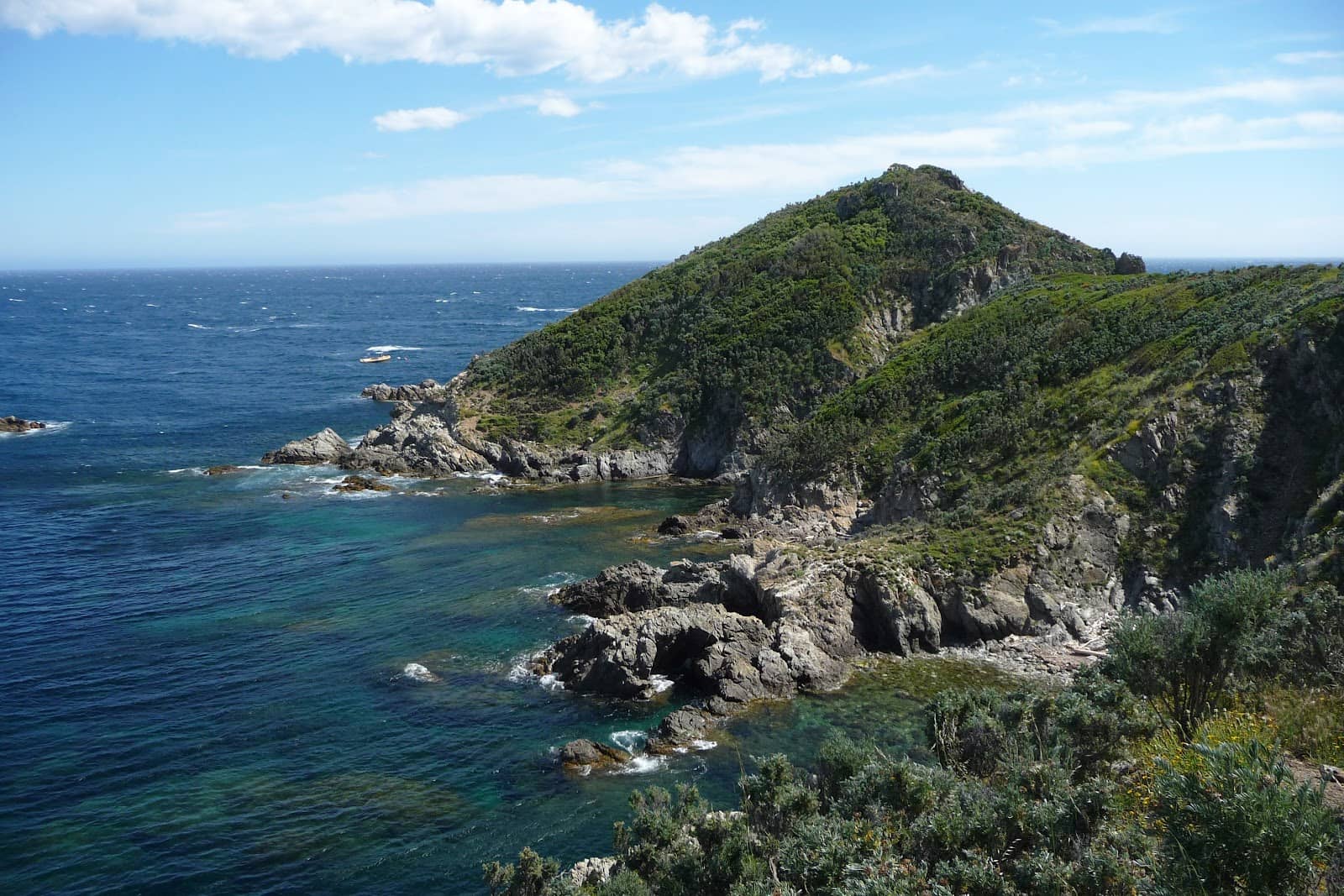 Coastal Path Exploration