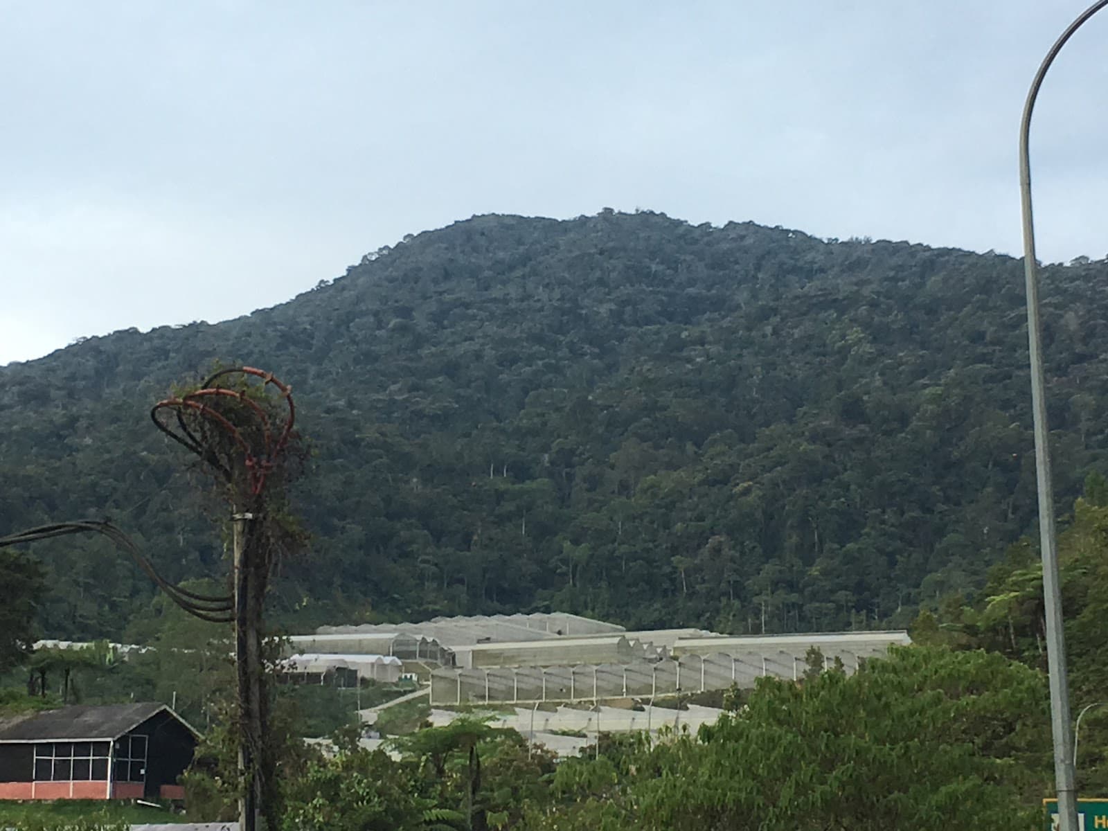 Gunung Berembun - Image 1