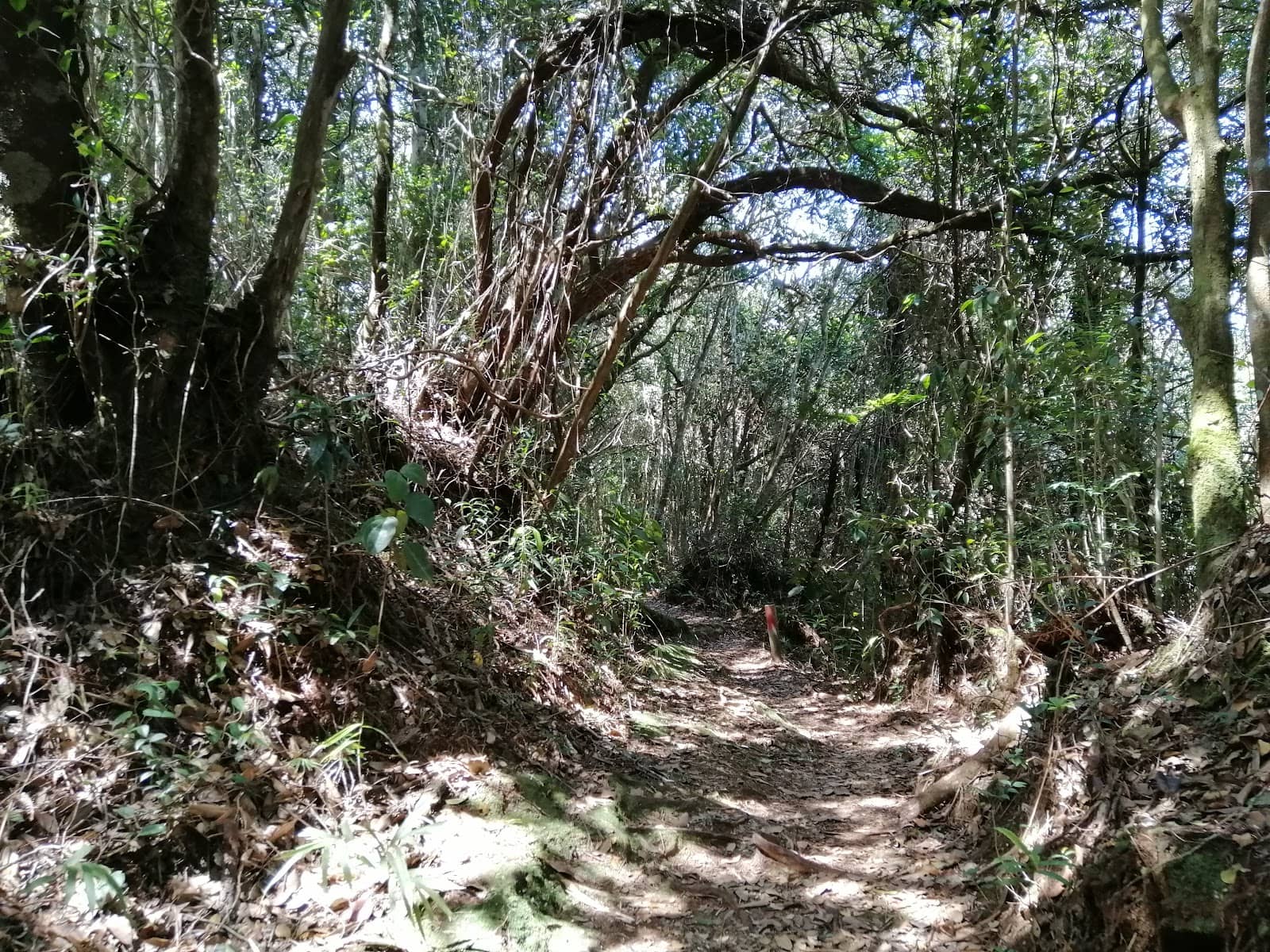 Vertical photo