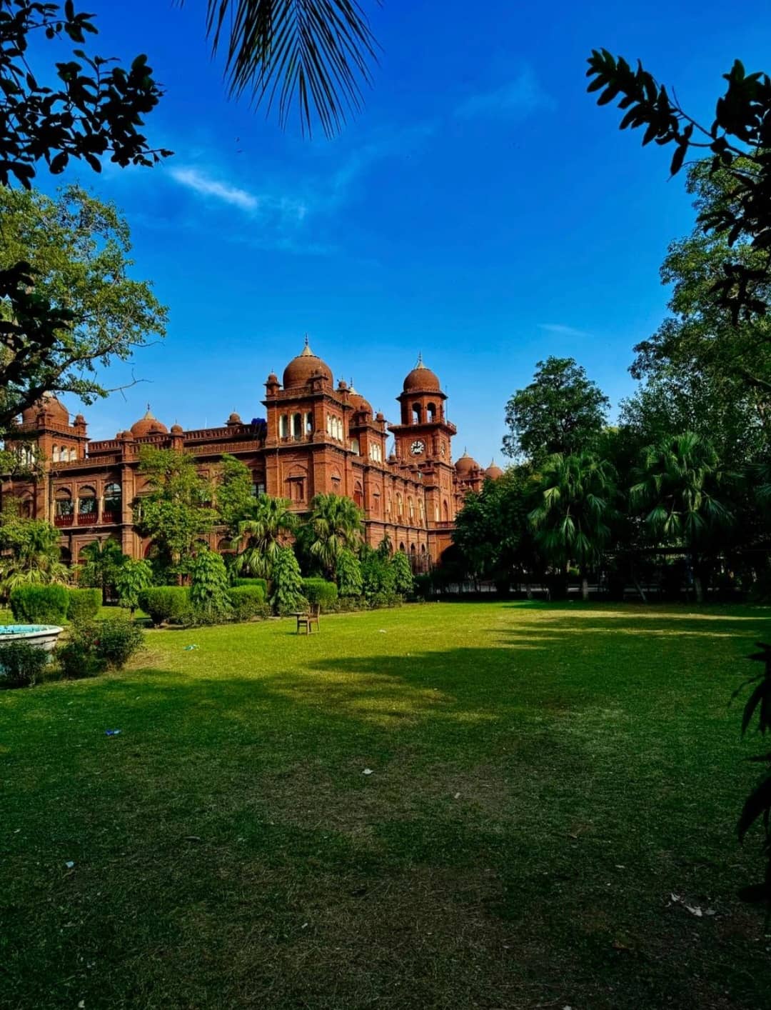 College of Fine Arts