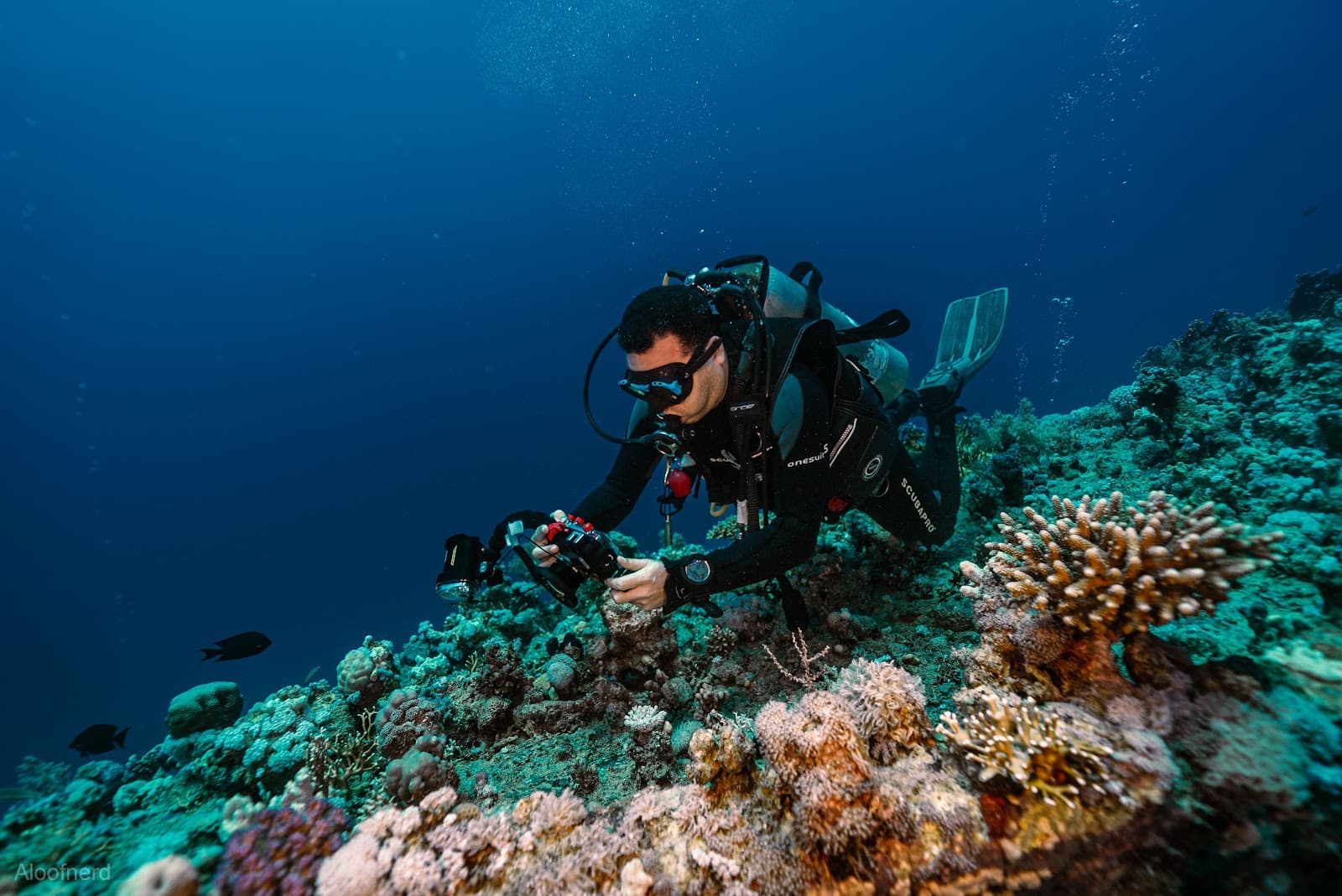 Dunraven Wreck - Image 1