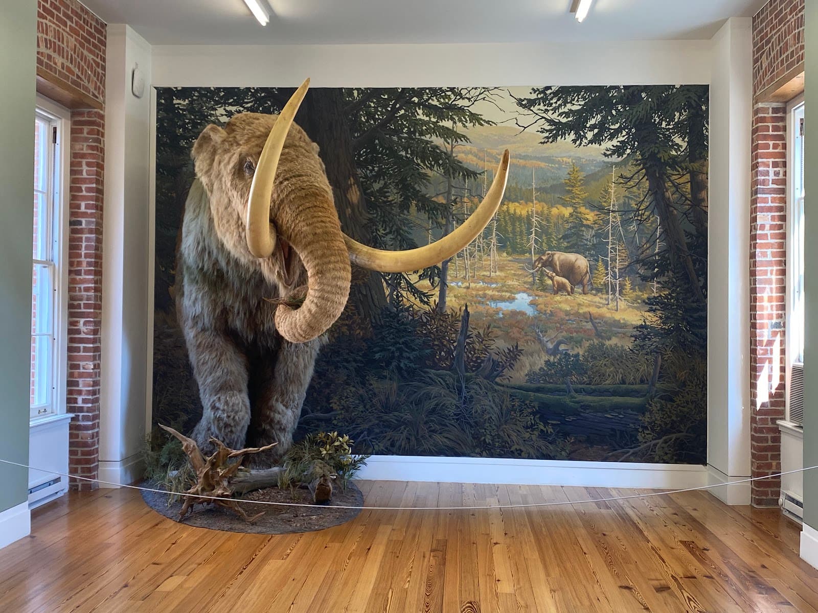 Staten Island Museum - Image 1