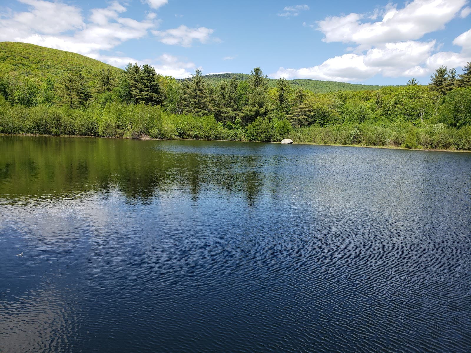 Shannon Pond - Image 1