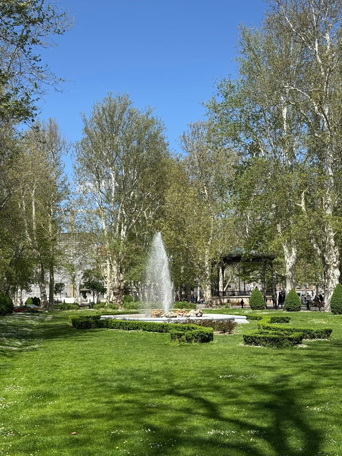 Meteorological Column