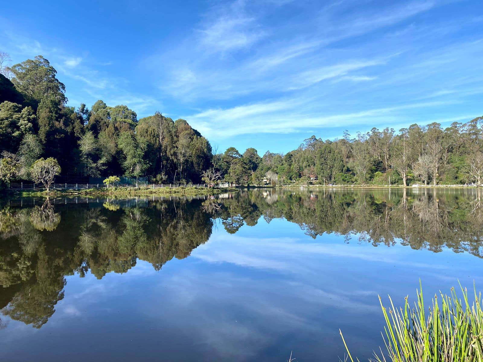 Kodaikanal Lake - Image 1