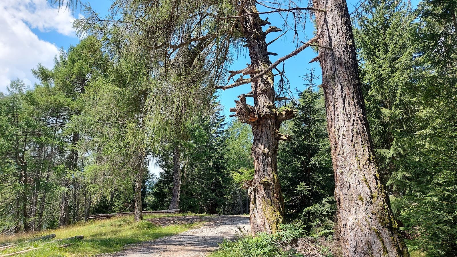 Zedlacher Paradies Hohe Tauern National Park - Image 1