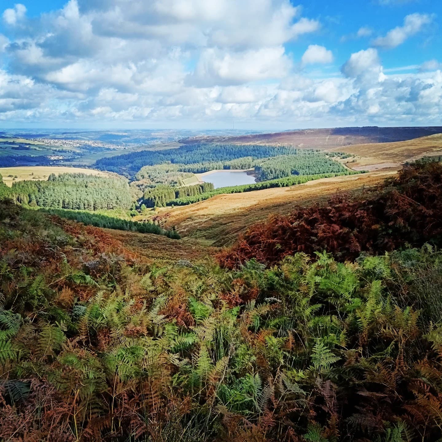 Holme Moss Viewpoint - Image 1