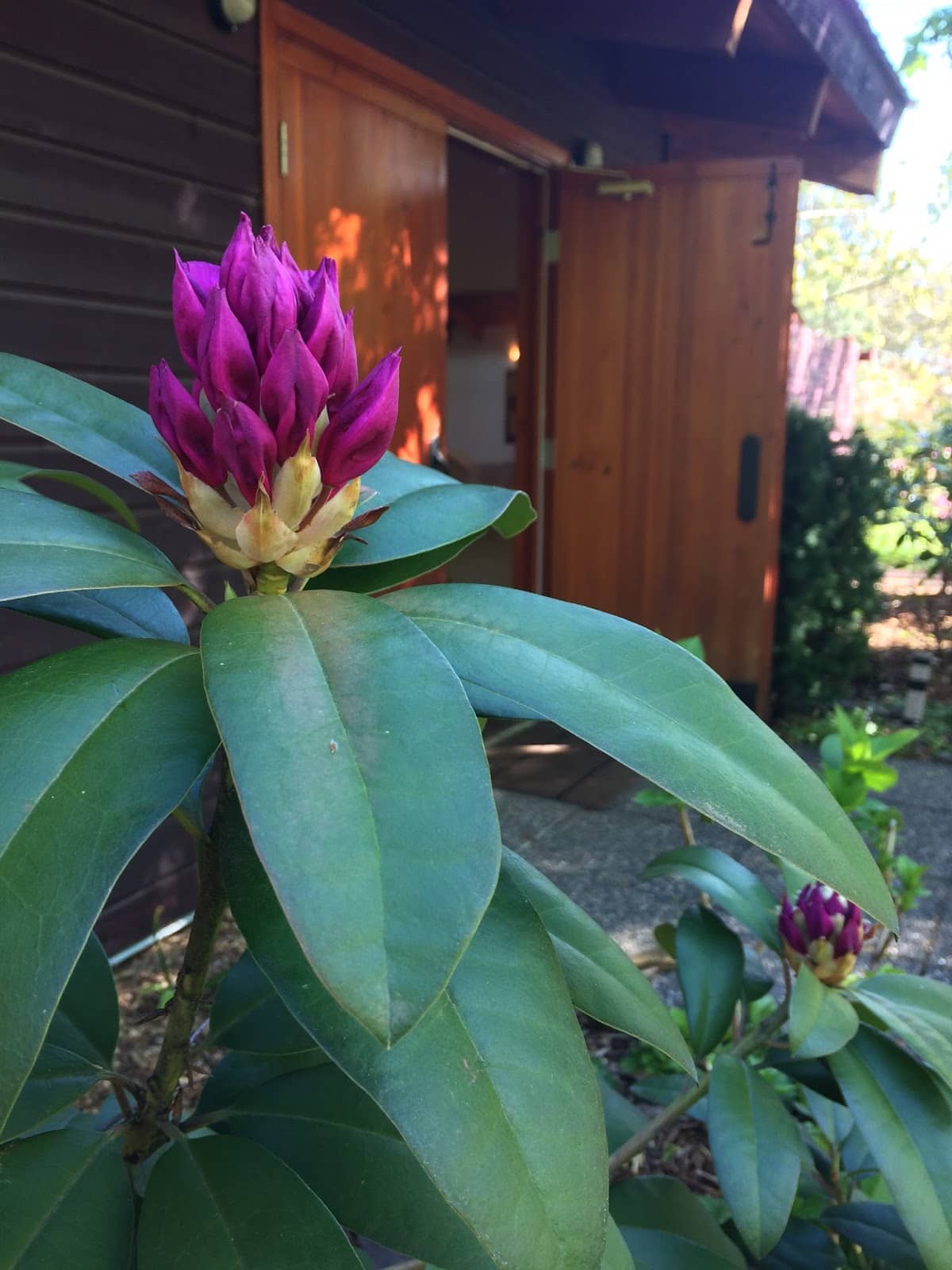 Farm Animal Encounters