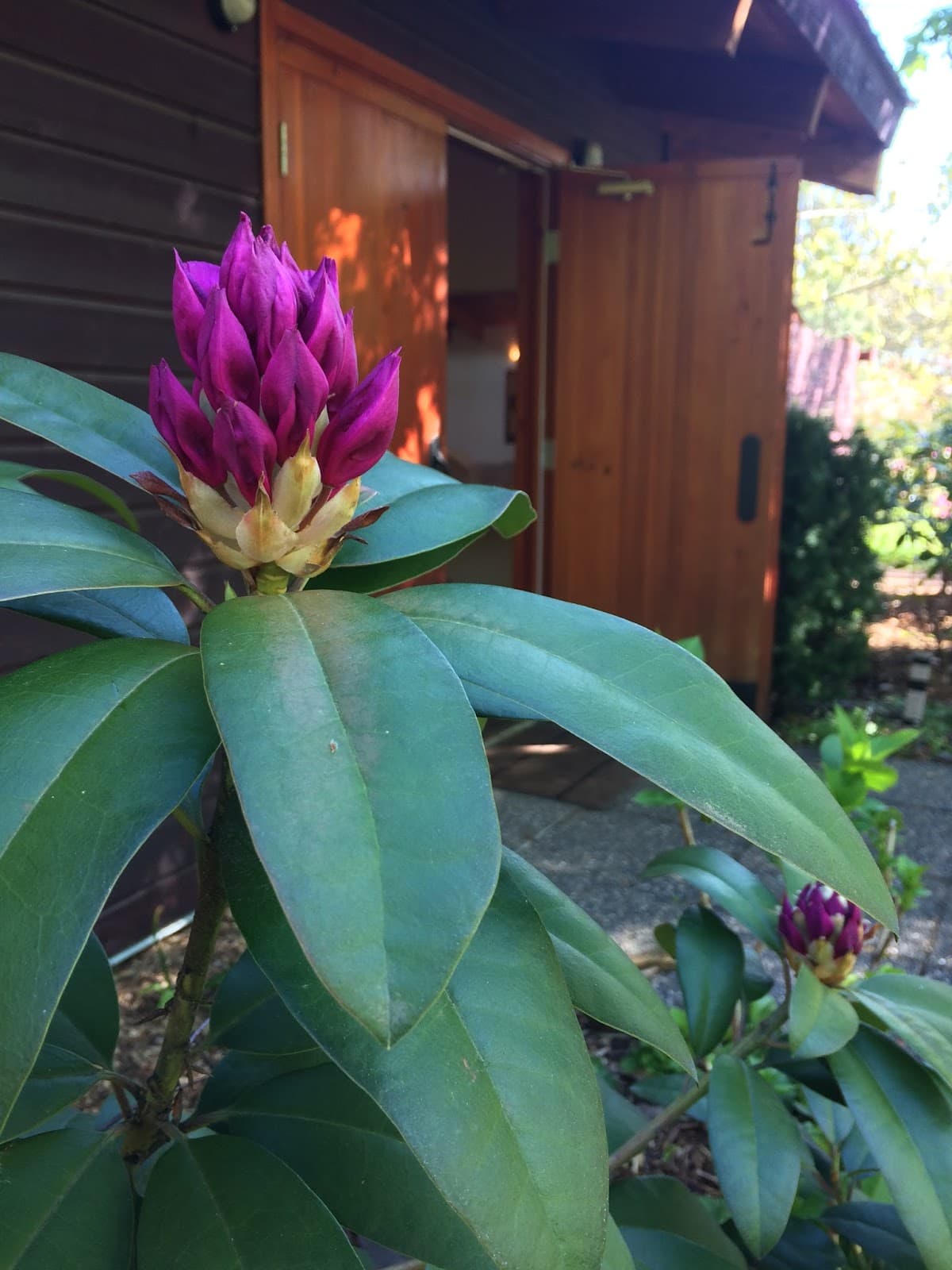 Linden Gardens - Image 1