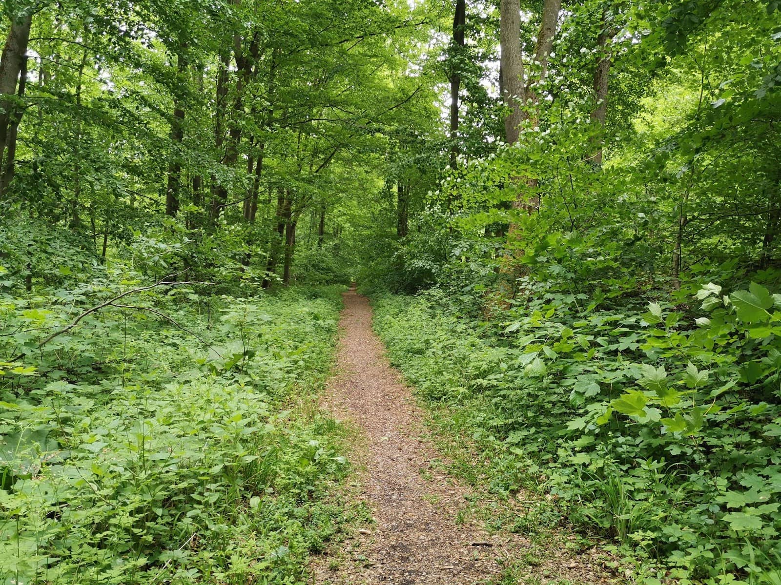 Historic Water Wheels
