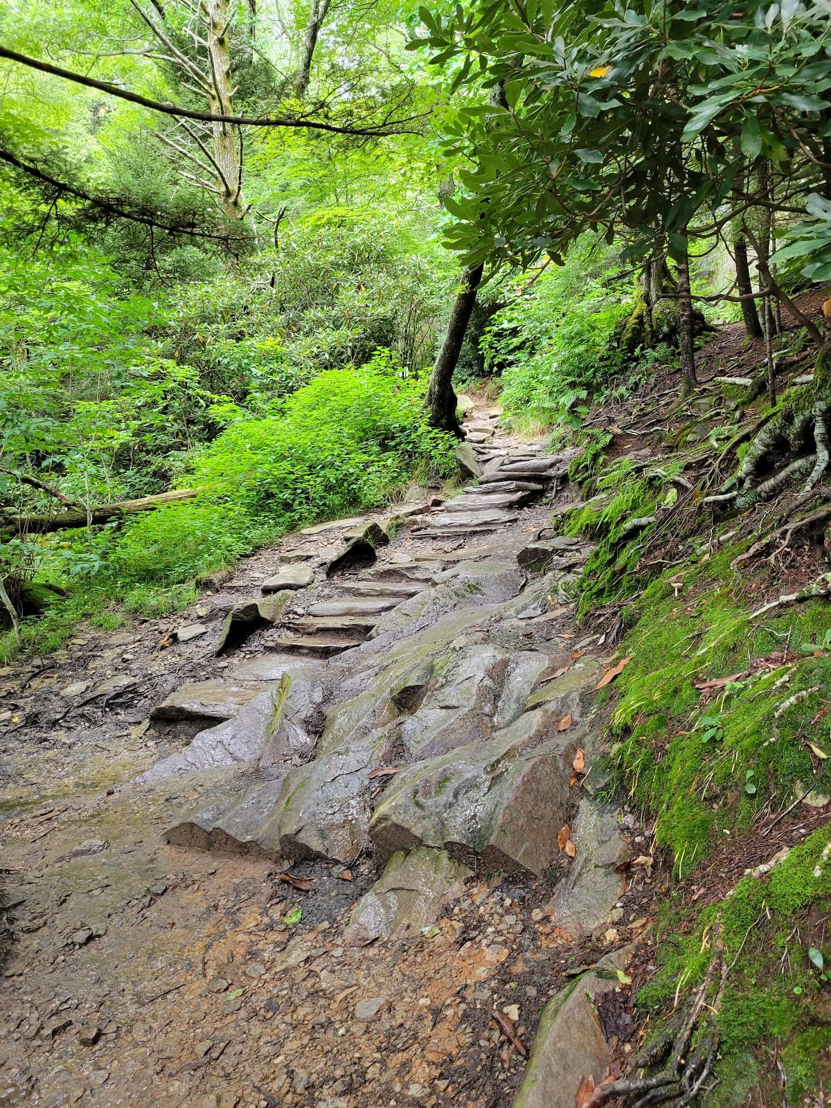 Tanawha Trail - Image 1