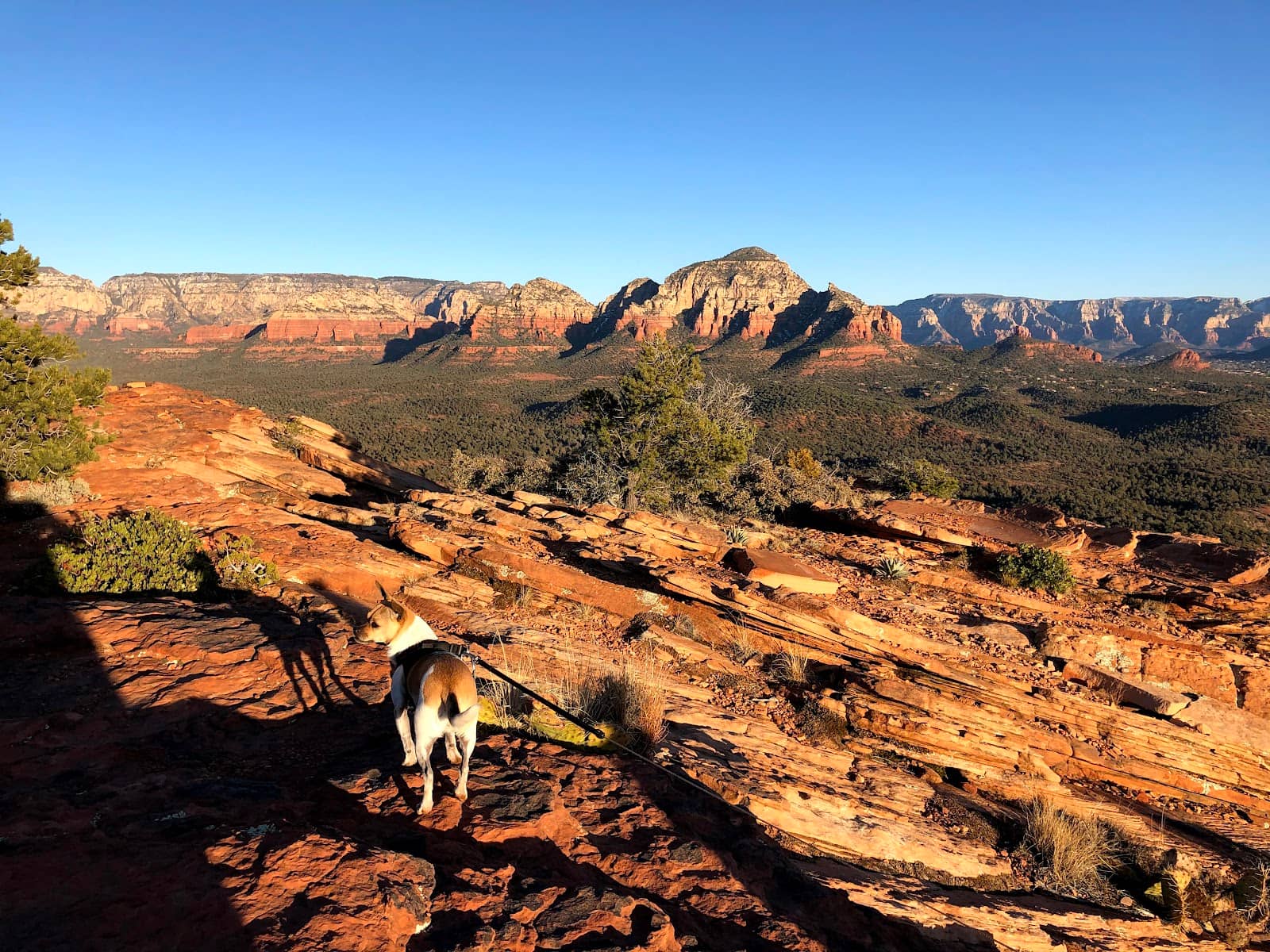 Mesa Perimeter Walk