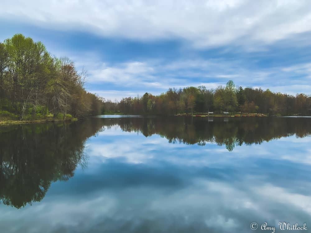 Scenic Walking Trails
