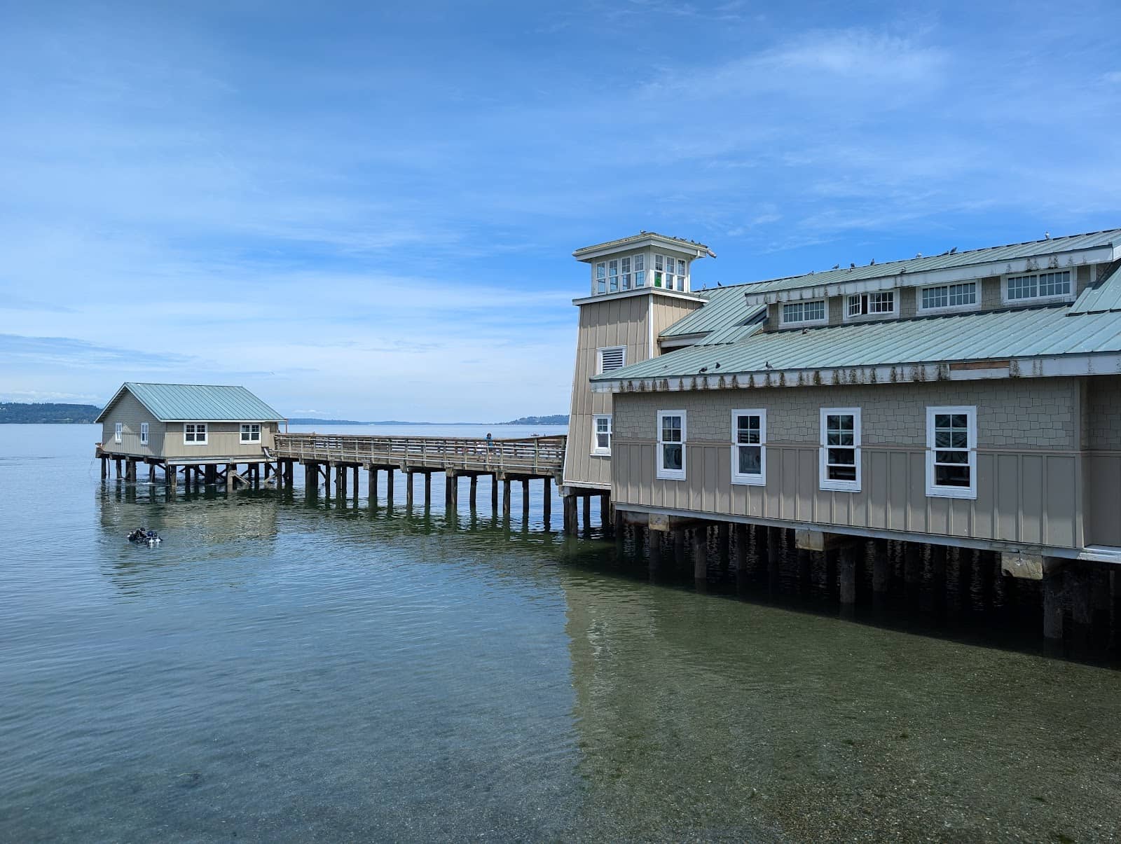 Marine Skeletons & Skulls