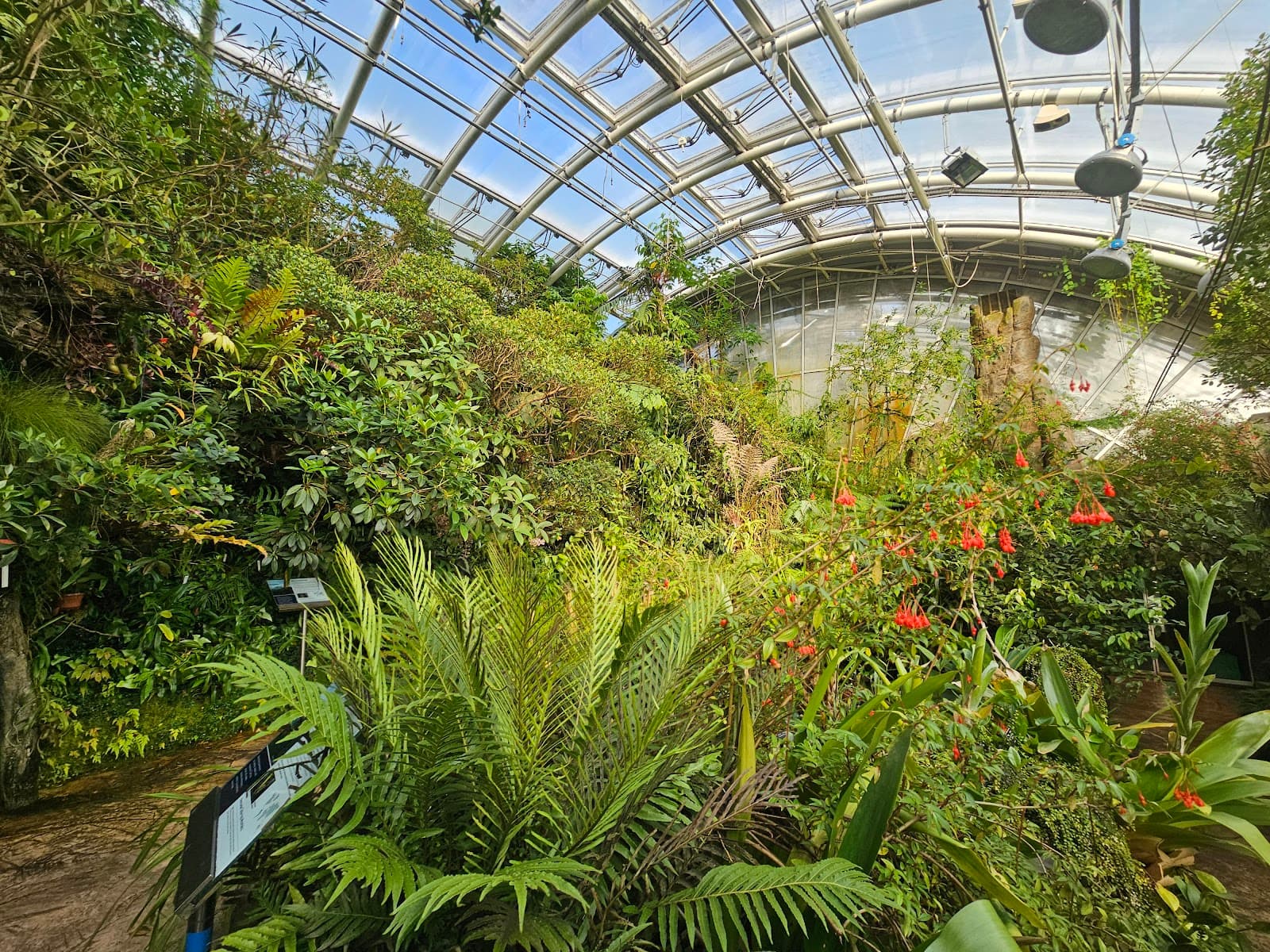 Botanical Garden of the Charles University - Fata Morgana Greenhouse - Image 1